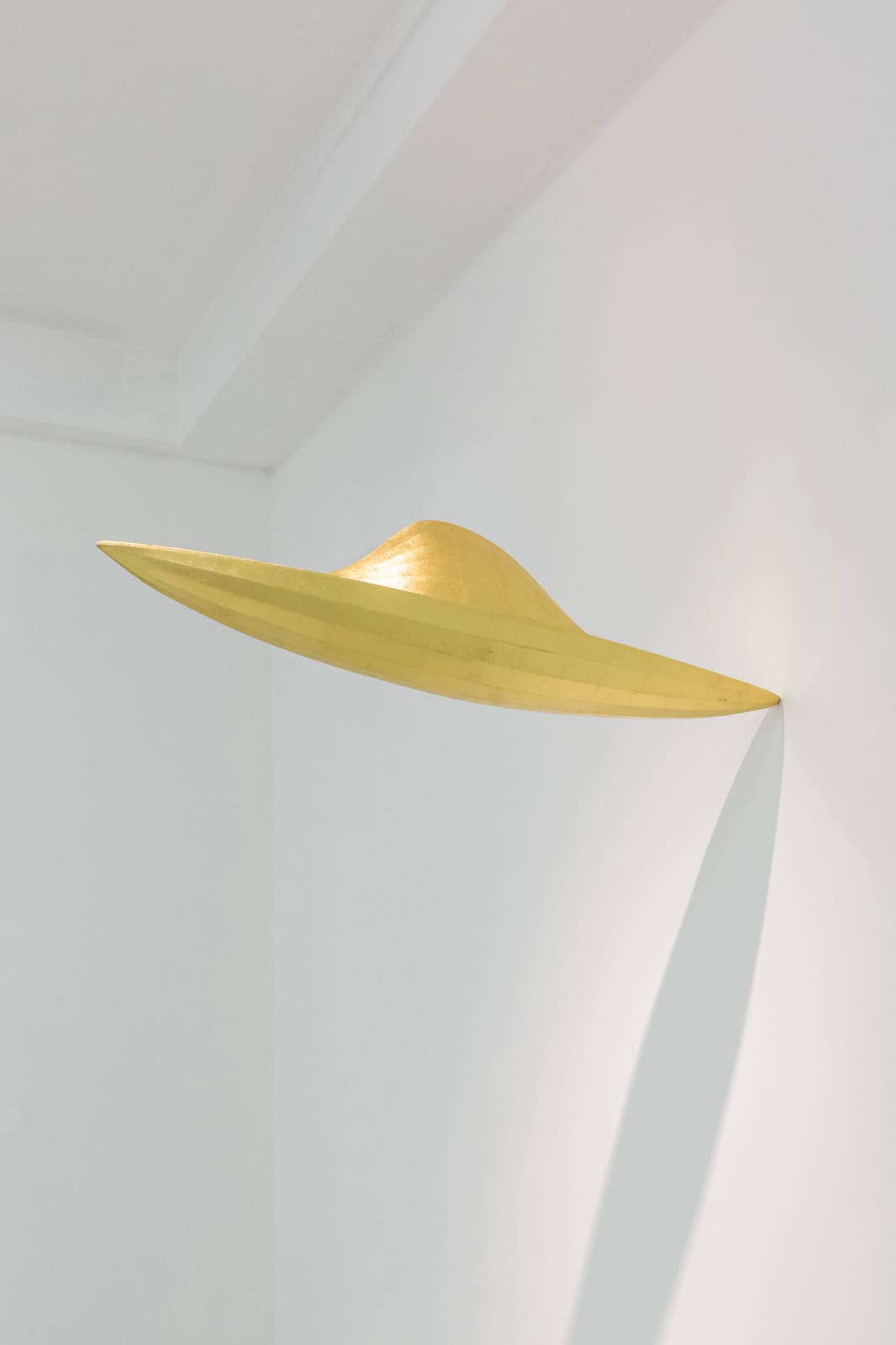 Bryan Hunt, Orville, 2012