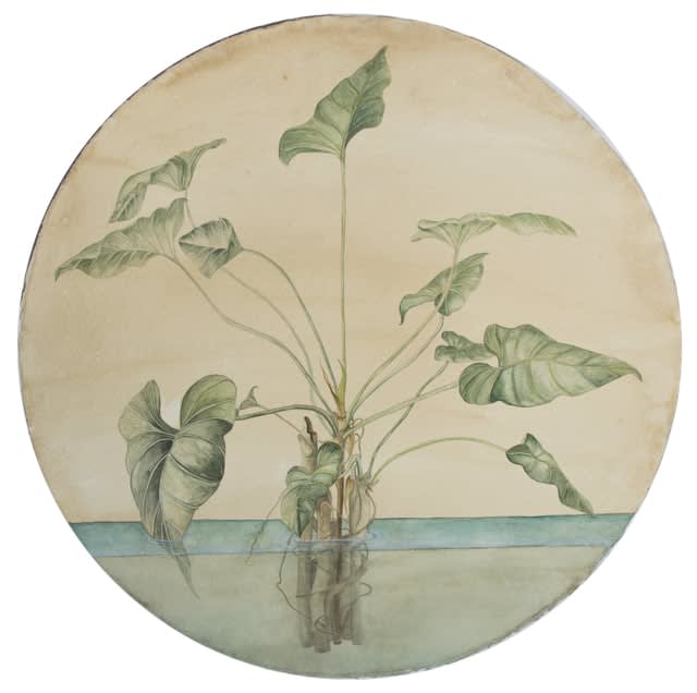 Gabriela Pez, Water Garden, 2019