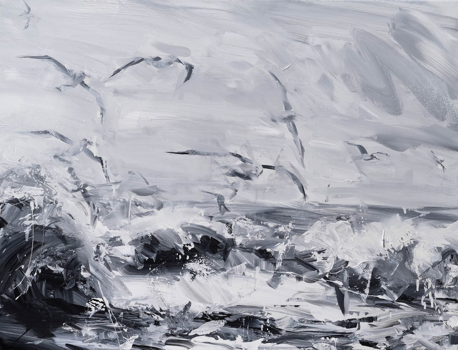 Paul Wright, Here come the Gulls