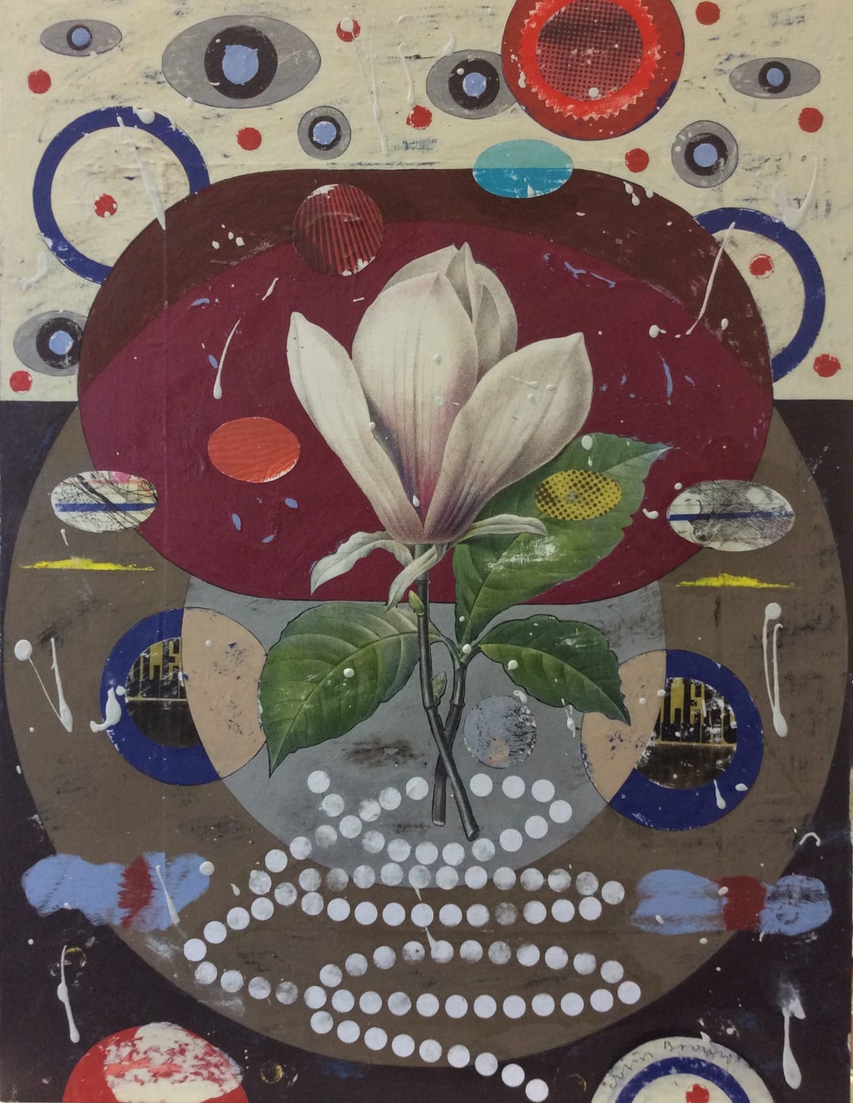 Colin Brown, Saucer Magnolia