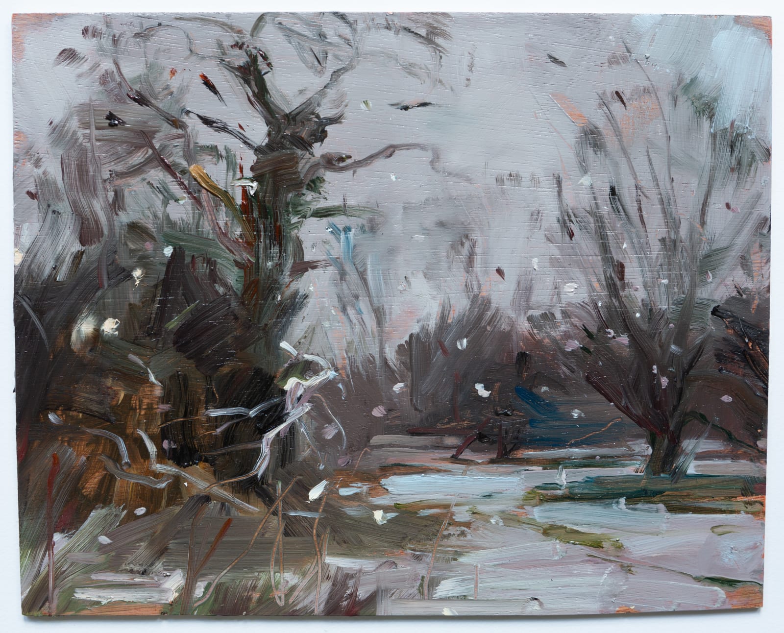 Kate Giles, The Old Apple Orchard, February