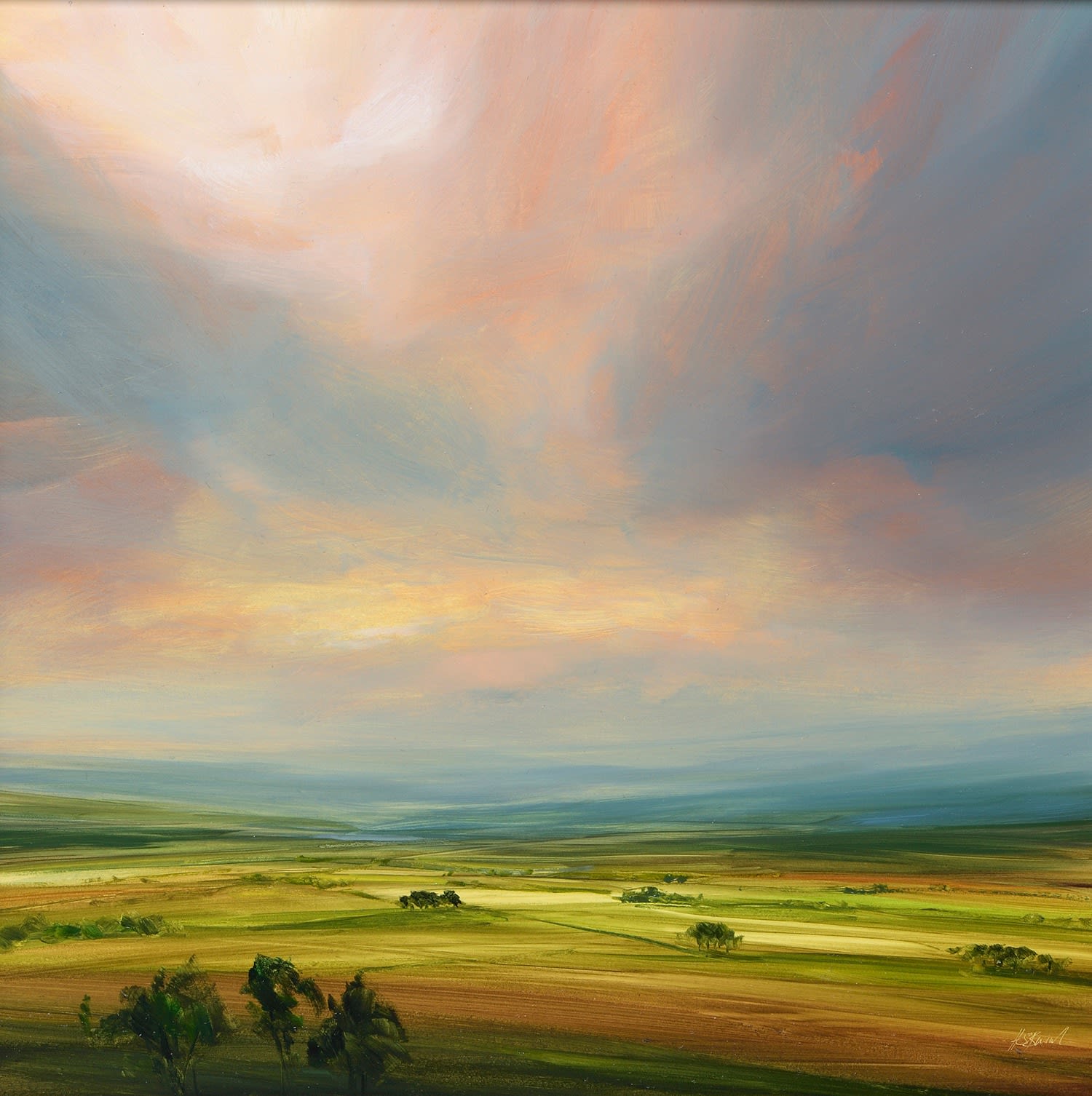 Harry Brioche, Devine Intermission