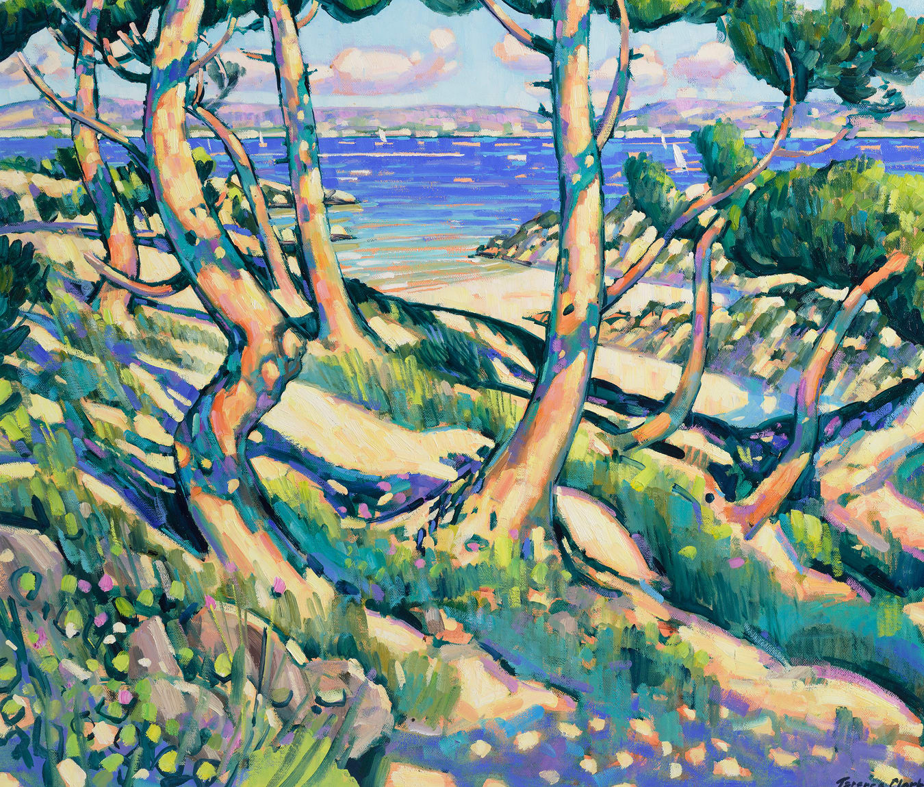 Terence Clarke, Wild Pines Ils Verte