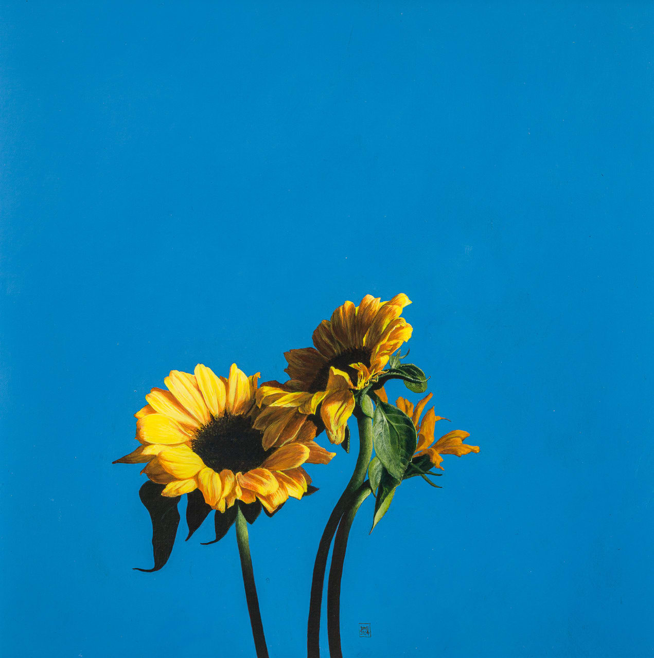 David Gleeson RI, Sunflowers