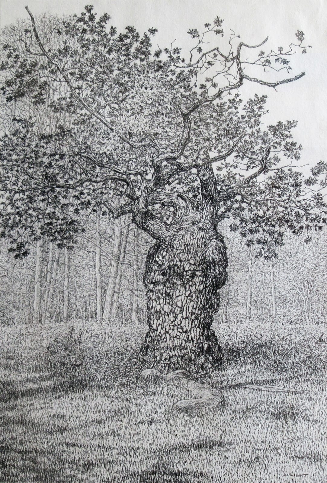 Roy Wright PS, Spring Arrives