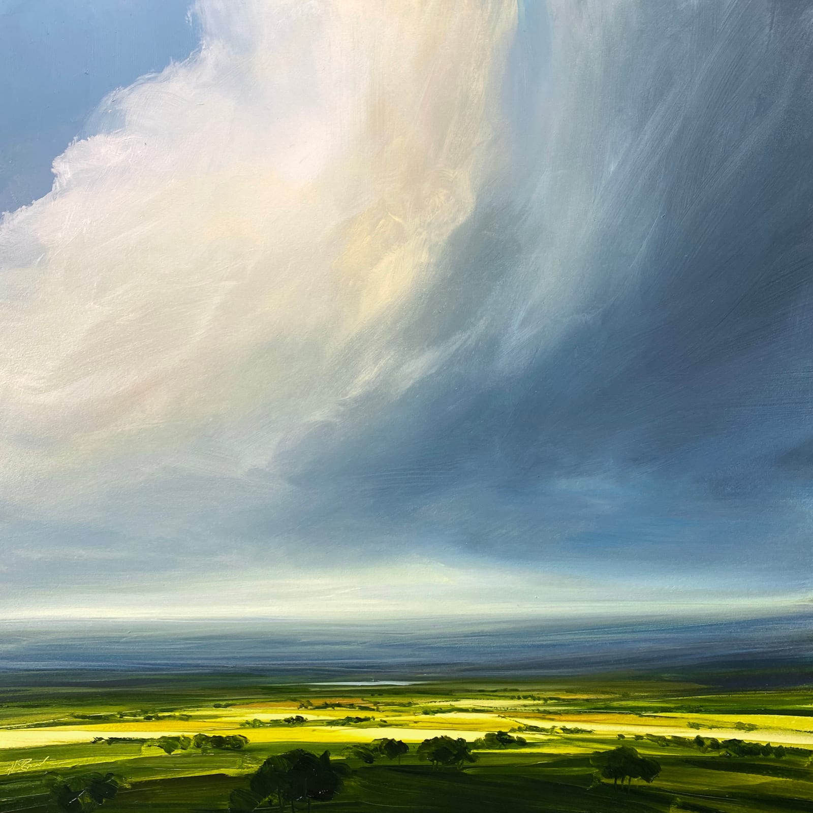 Harry Brioche, Spring Sunlight Thompson's Gallery