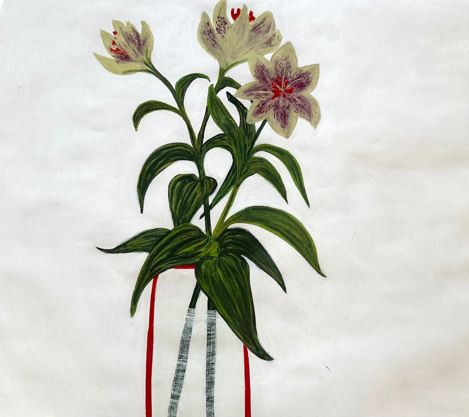 Angela A'Court PS, Asiatic Lilium I