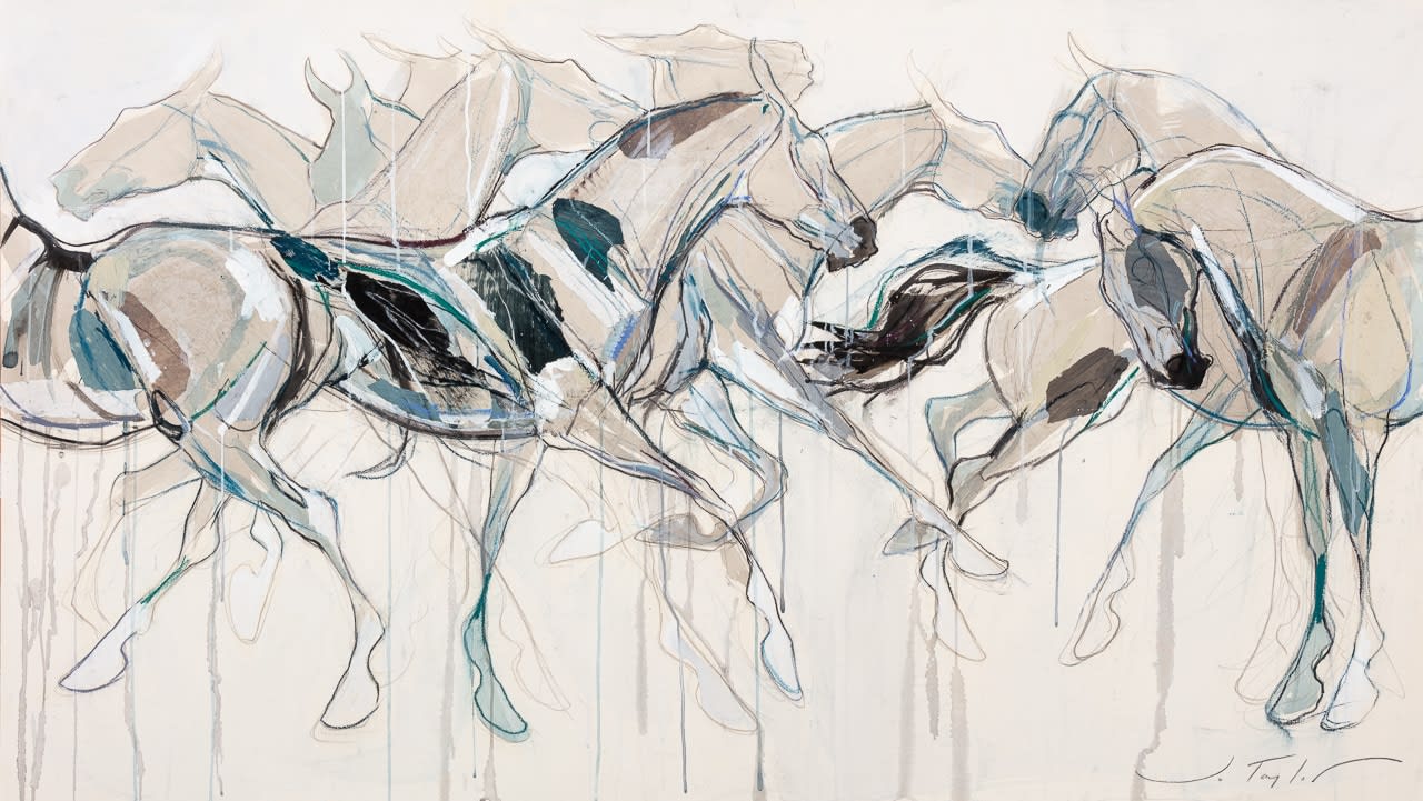 Jo Taylor, Storm Horses