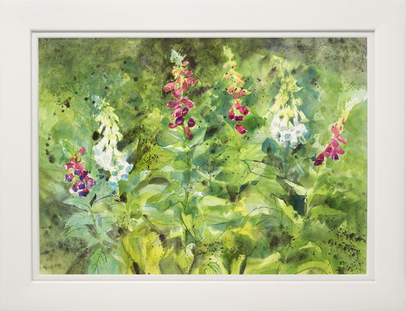 Jenny Matthews RSW, Foxgloves