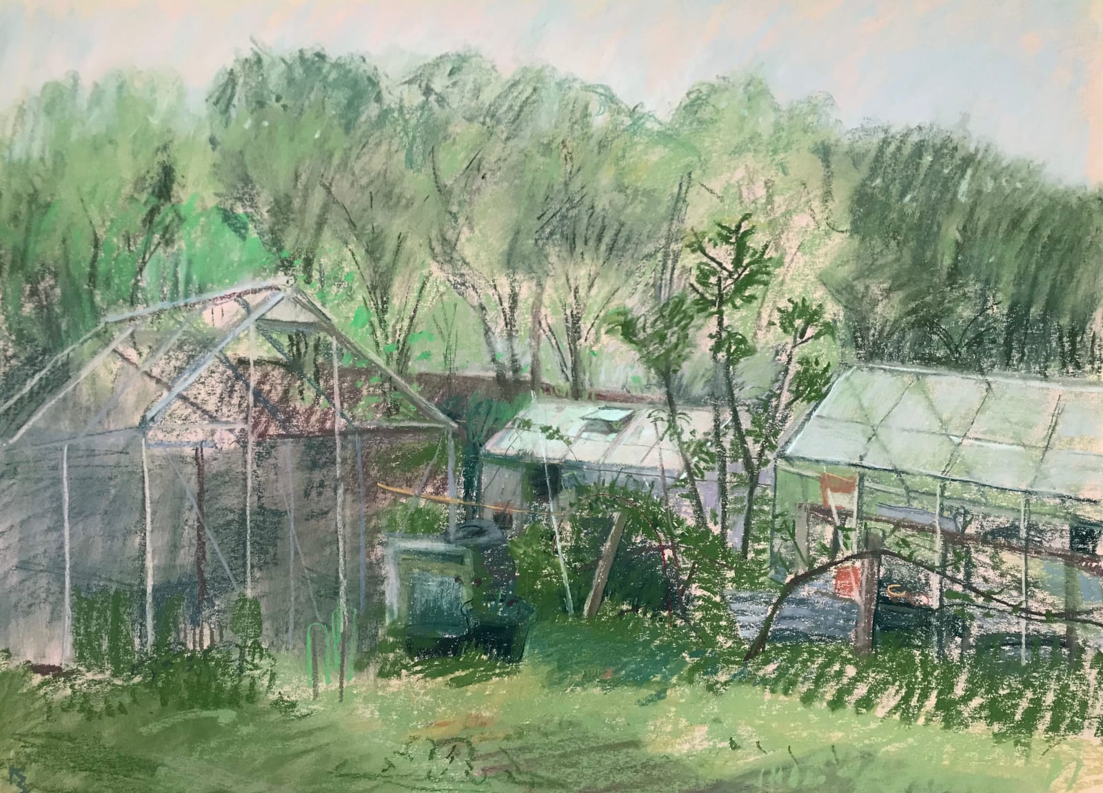 Kim Scouller, Allotment Greenhouses
