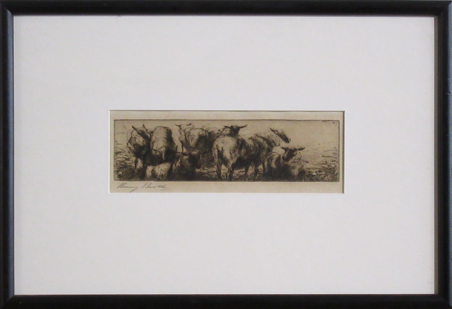 Harry Becker, Flock of Sheep