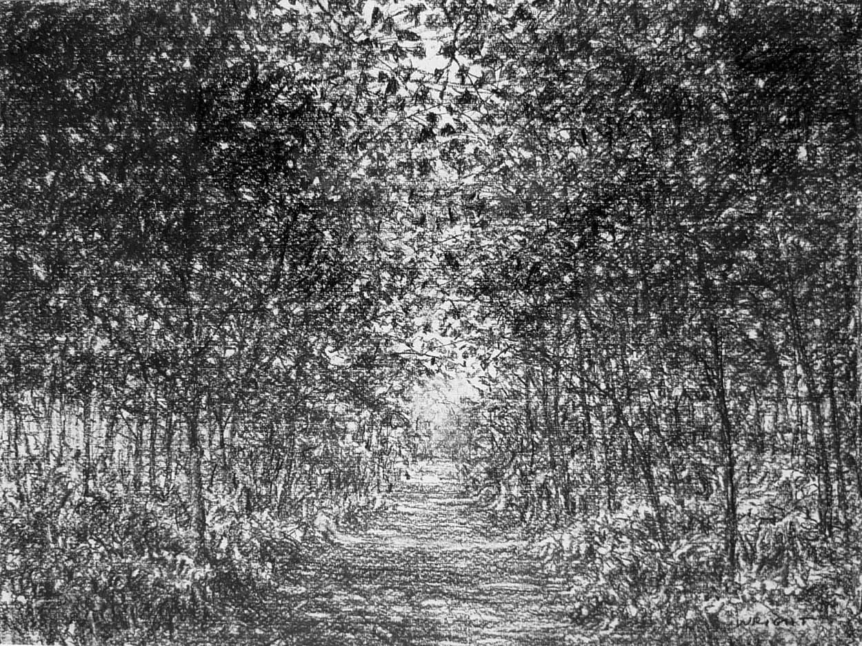 Roy Wright PS, Path Through the Forest, 2022