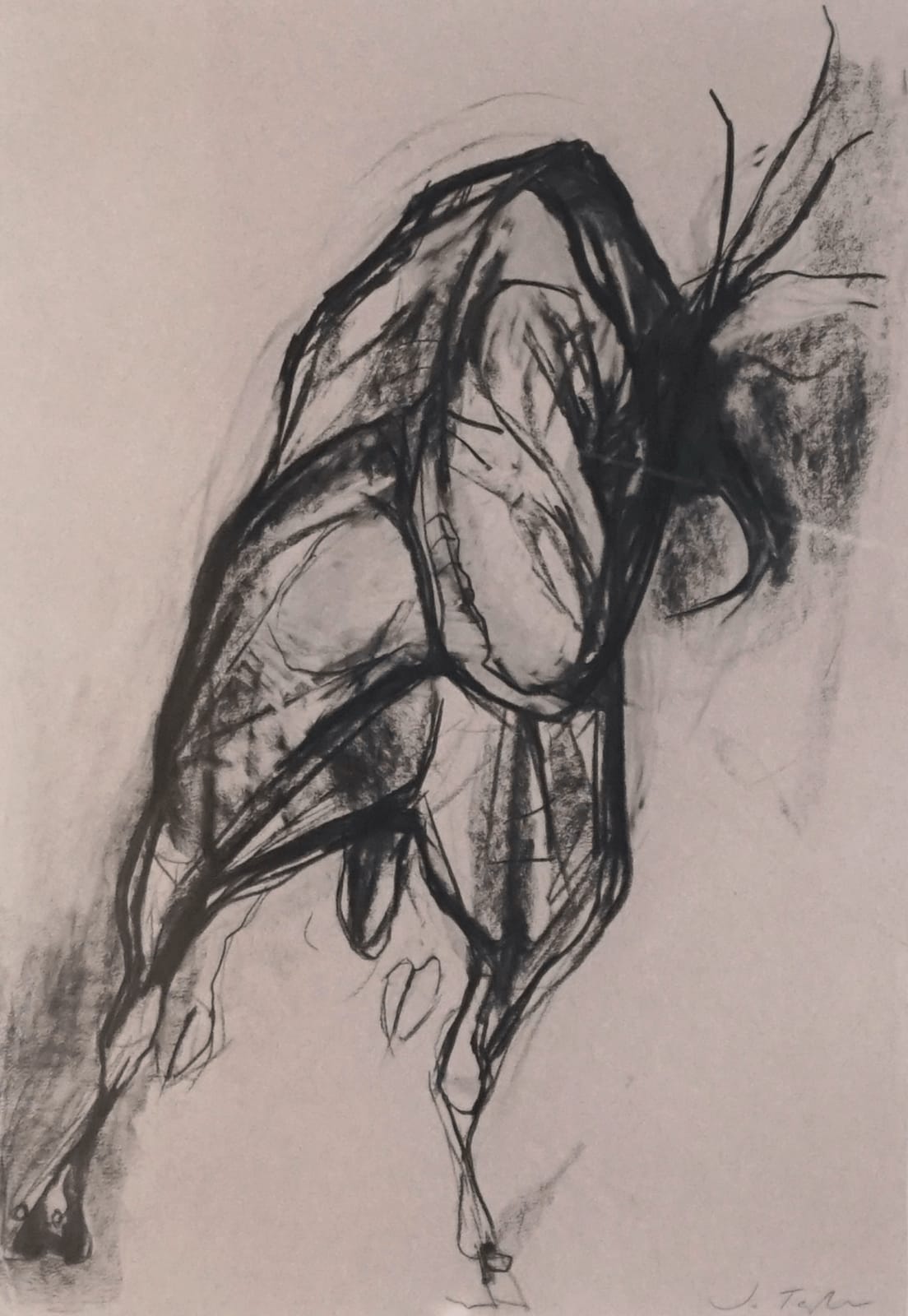 Jo Taylor, Flesh and Dust