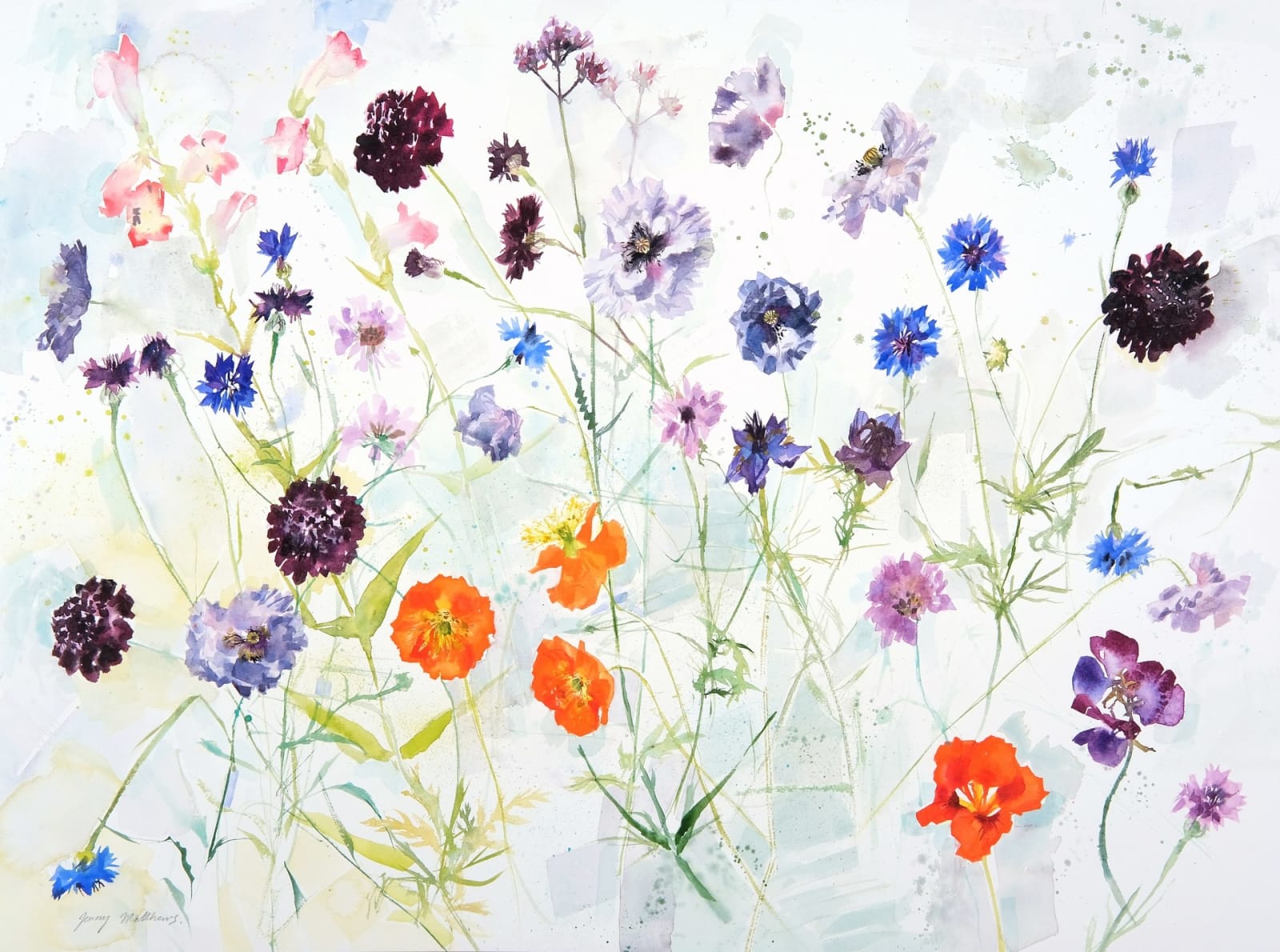 Jenny Matthews RSW, Summer Garden