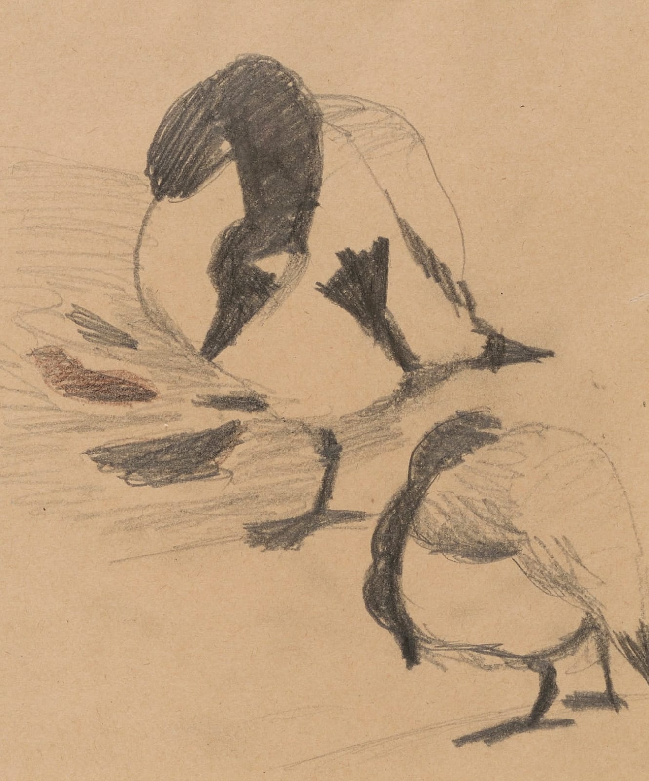Mary Newcomb, Geese Preening. c1980