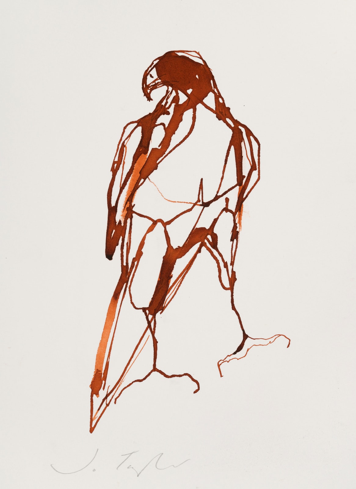 Jo Taylor, Red Bird I