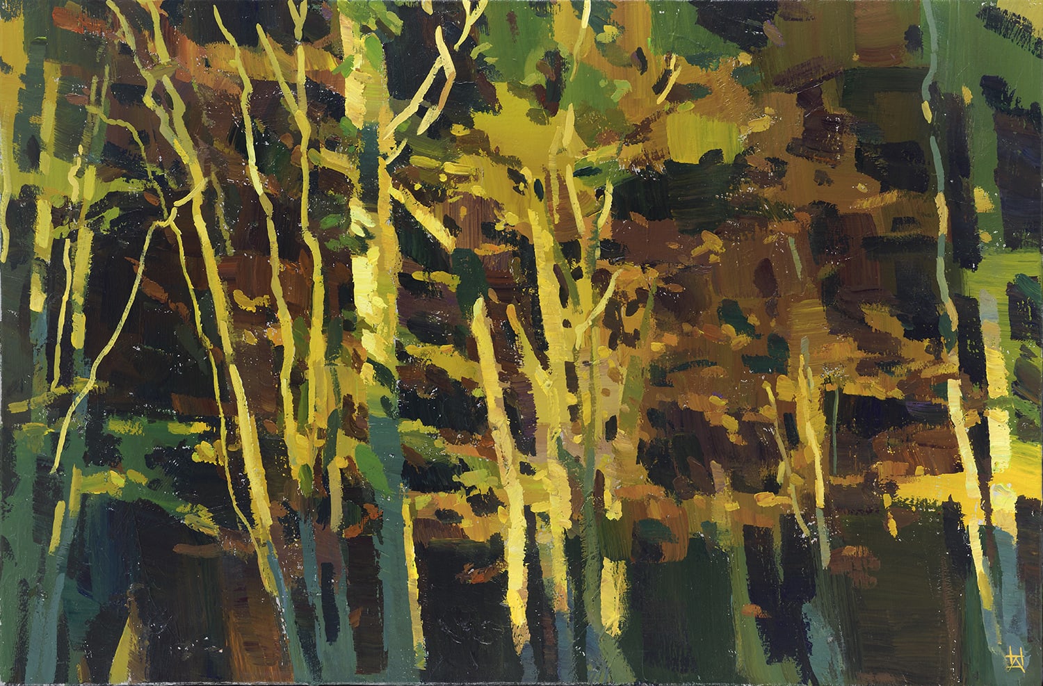 Hashim Akib, Dreams of Light