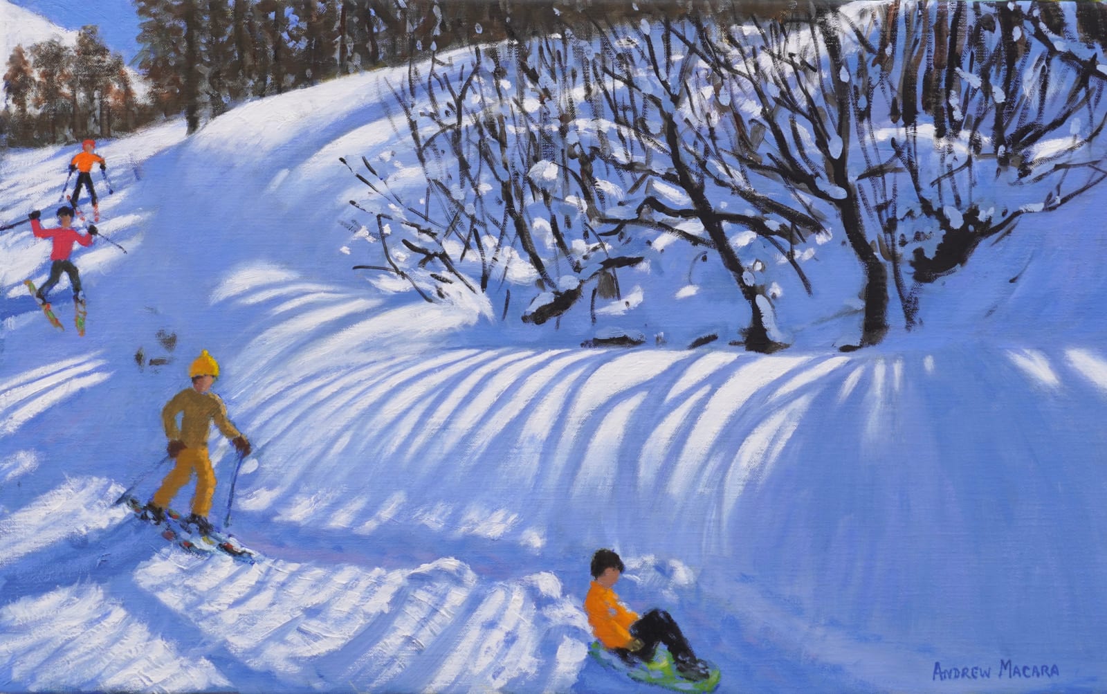 Andrew Macara RBA NEAC, Striped Tree Shadows, Les Arcs, France