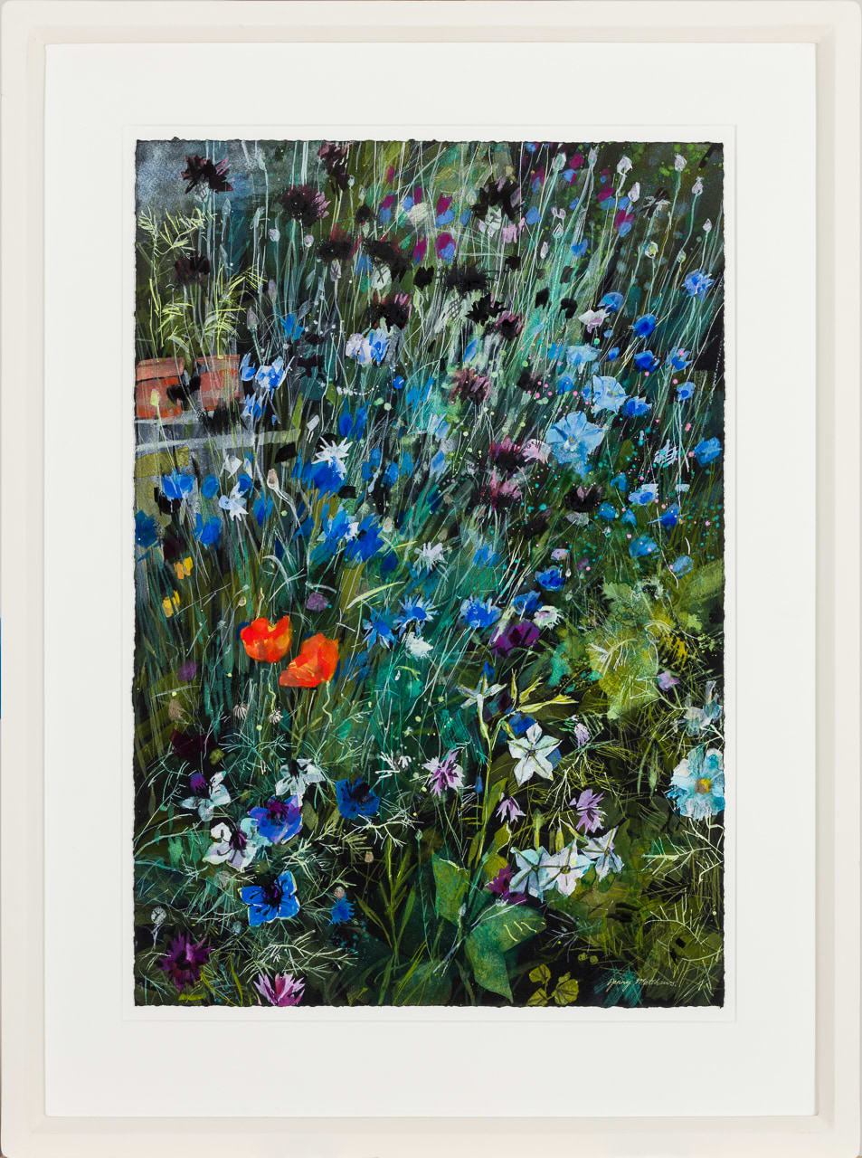 Jenny Matthews RSW, Paradise for Insects