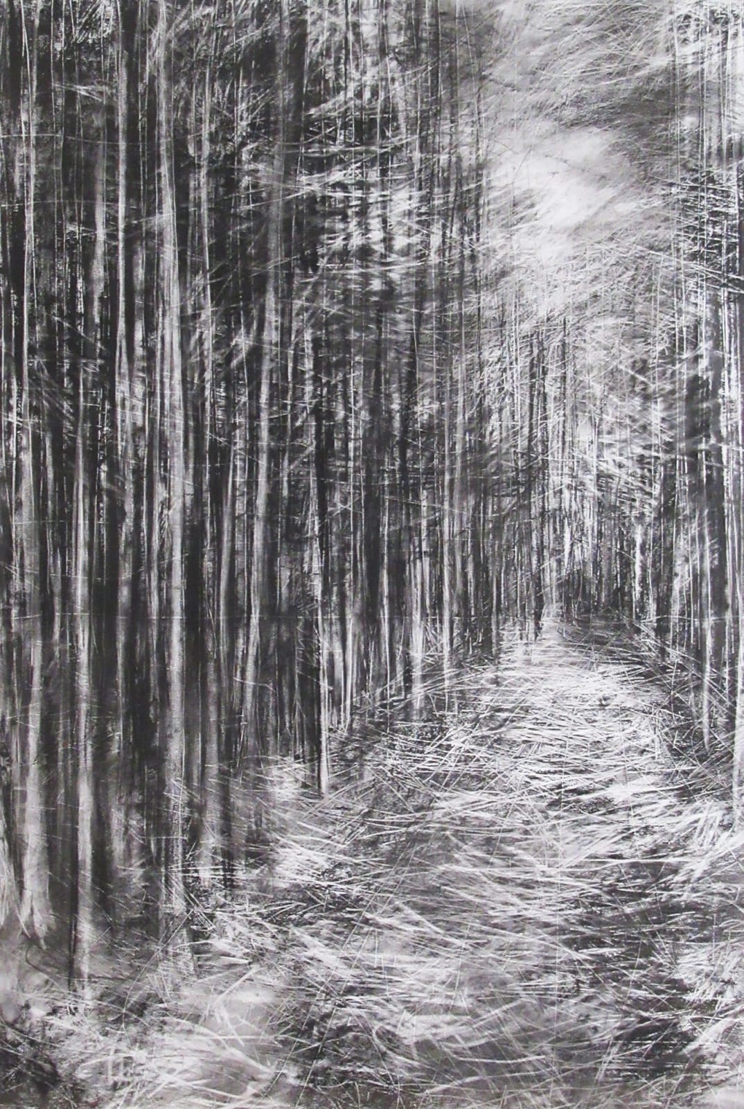 Janine Baldwin PS, Cropton Forest IV