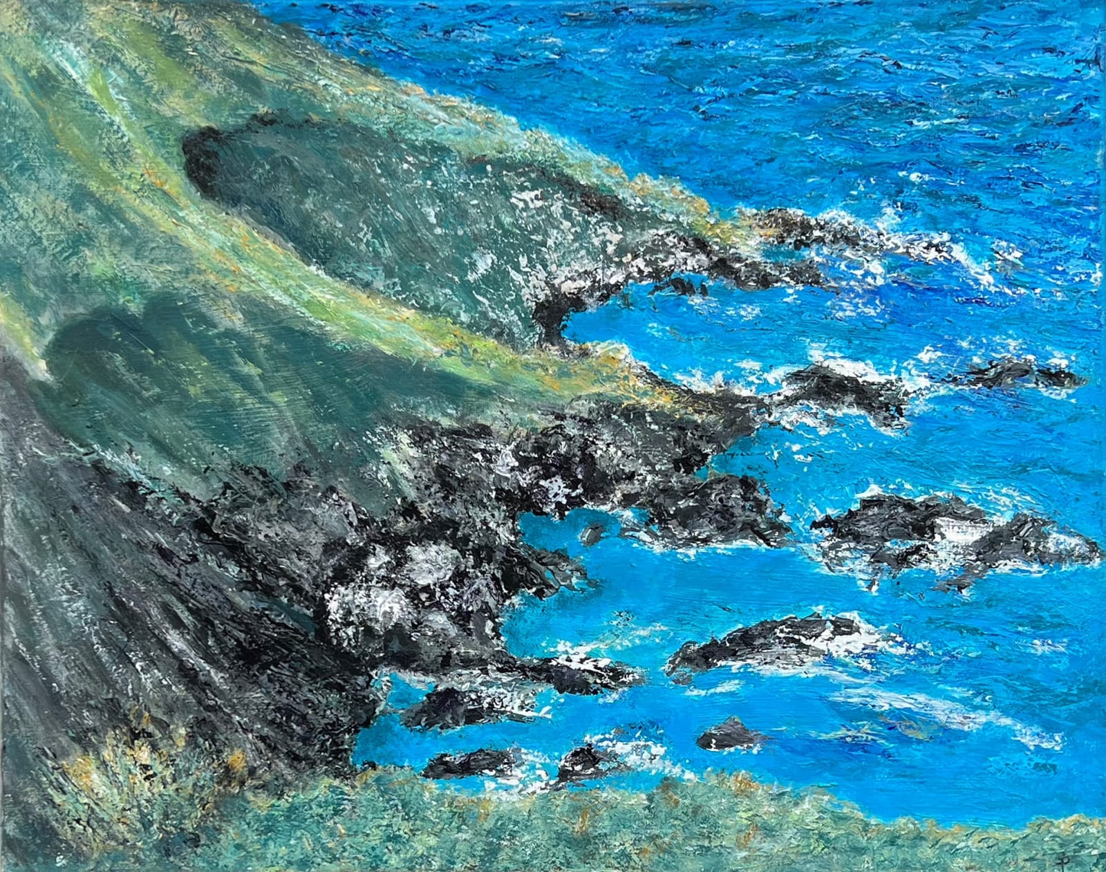 Suzy Phillips MSc., View from Rame Head