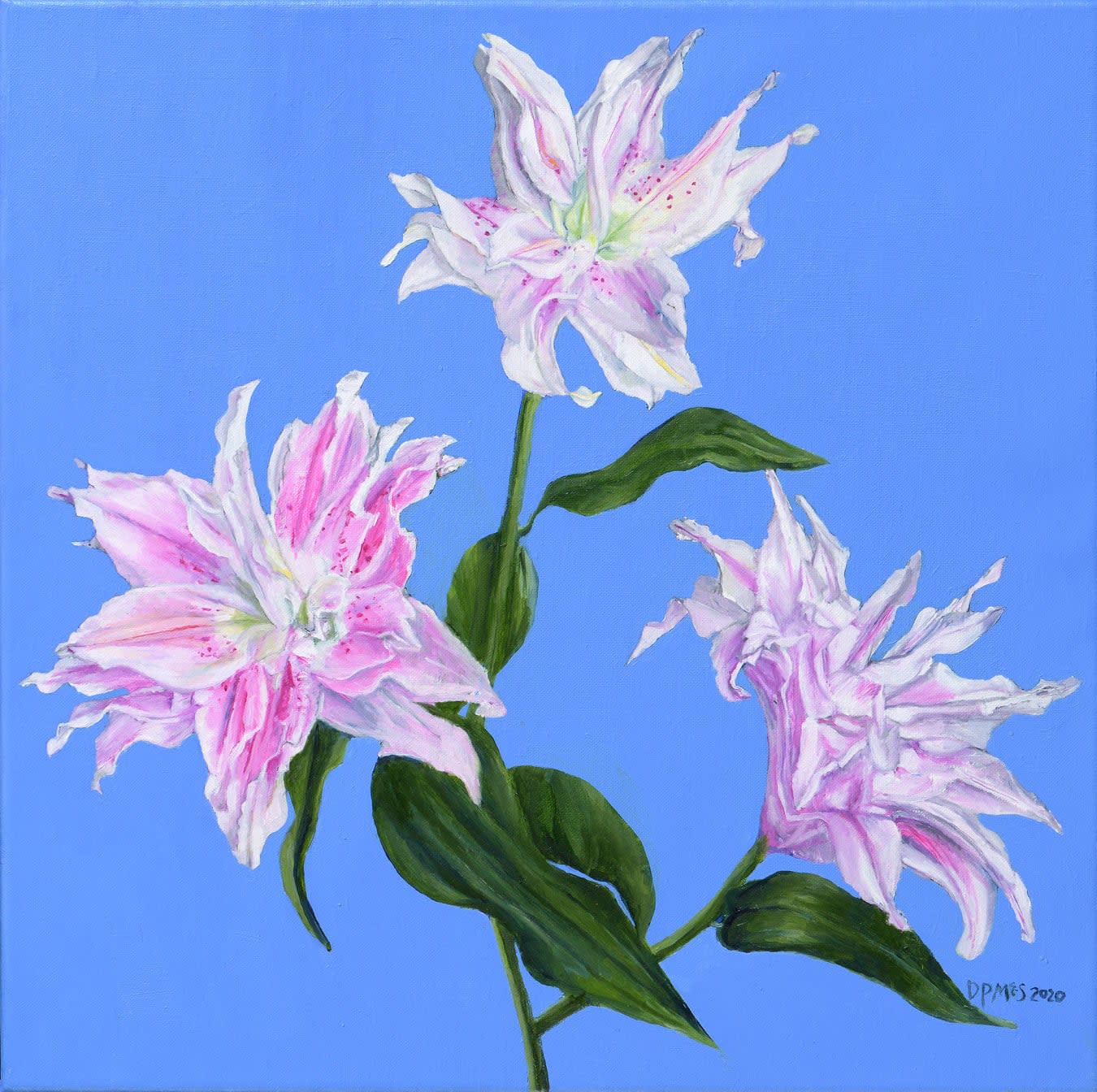 Dale Pring MacSweeney, Rose Lilies