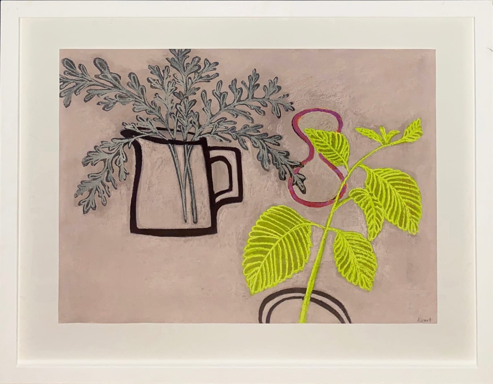 Angela A'Court PS, Indian Borage