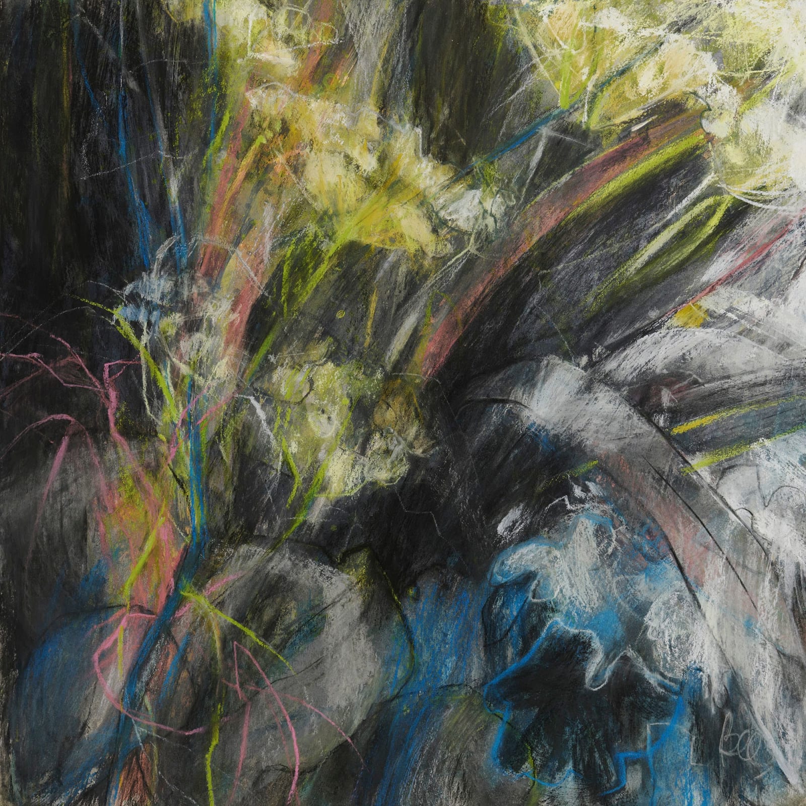 Sarah Bee PS, Fennel, 2022
