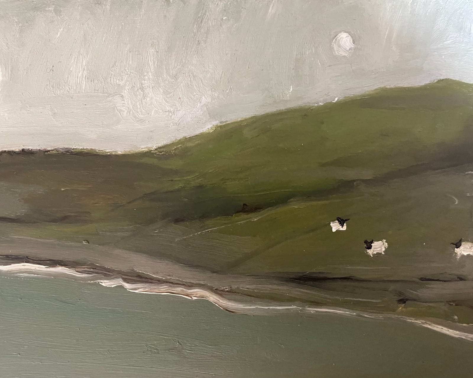 Rachel Arif AMAFA, Hebridean Sheep