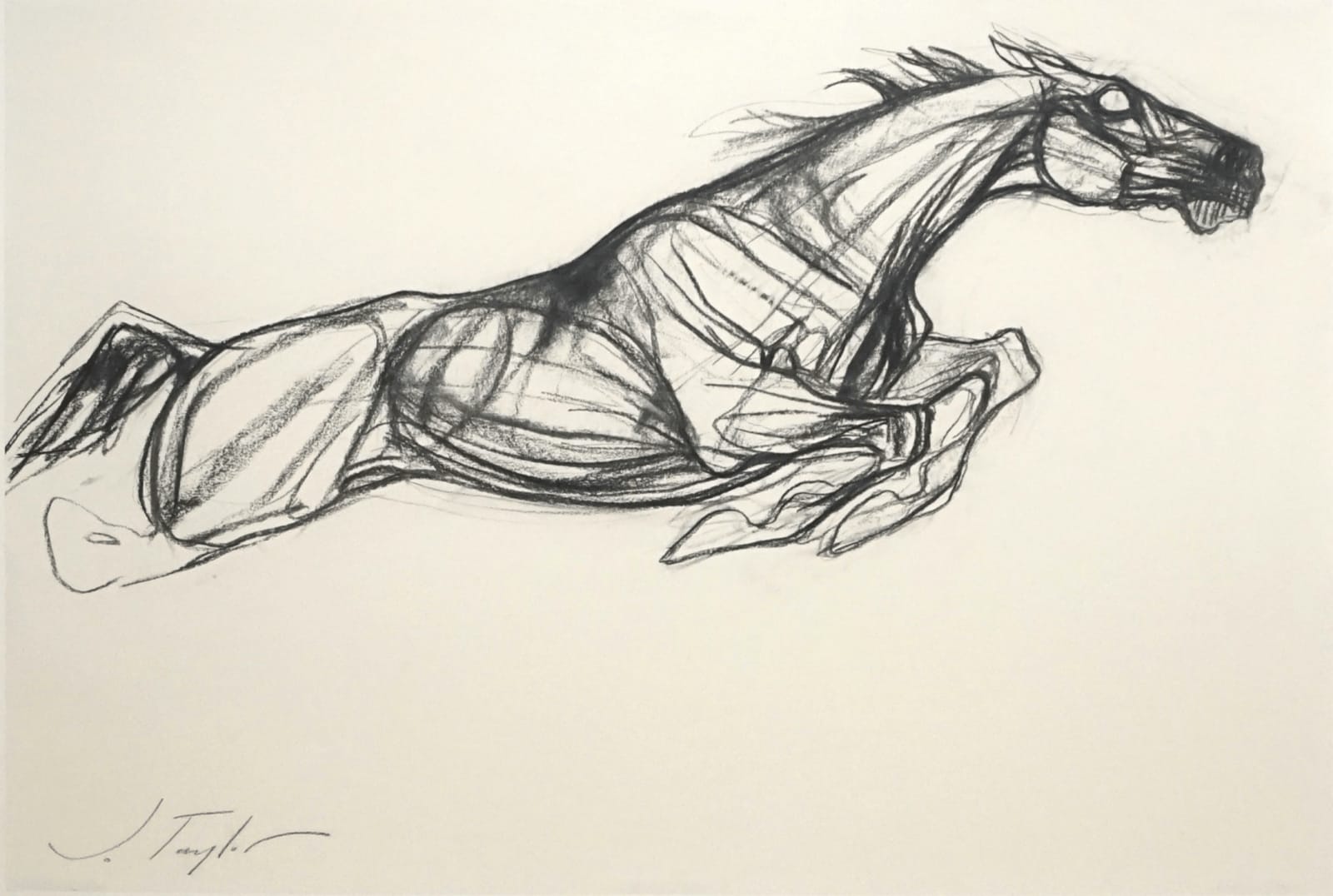 Jo Taylor, Moving Arrow