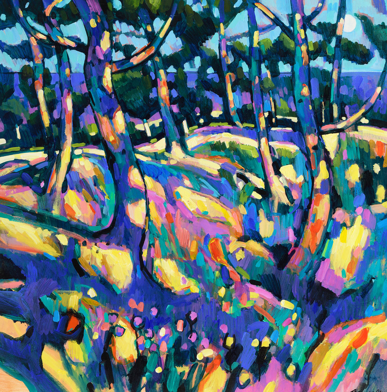 Terence Clarke, Moonlit Pines, Provence