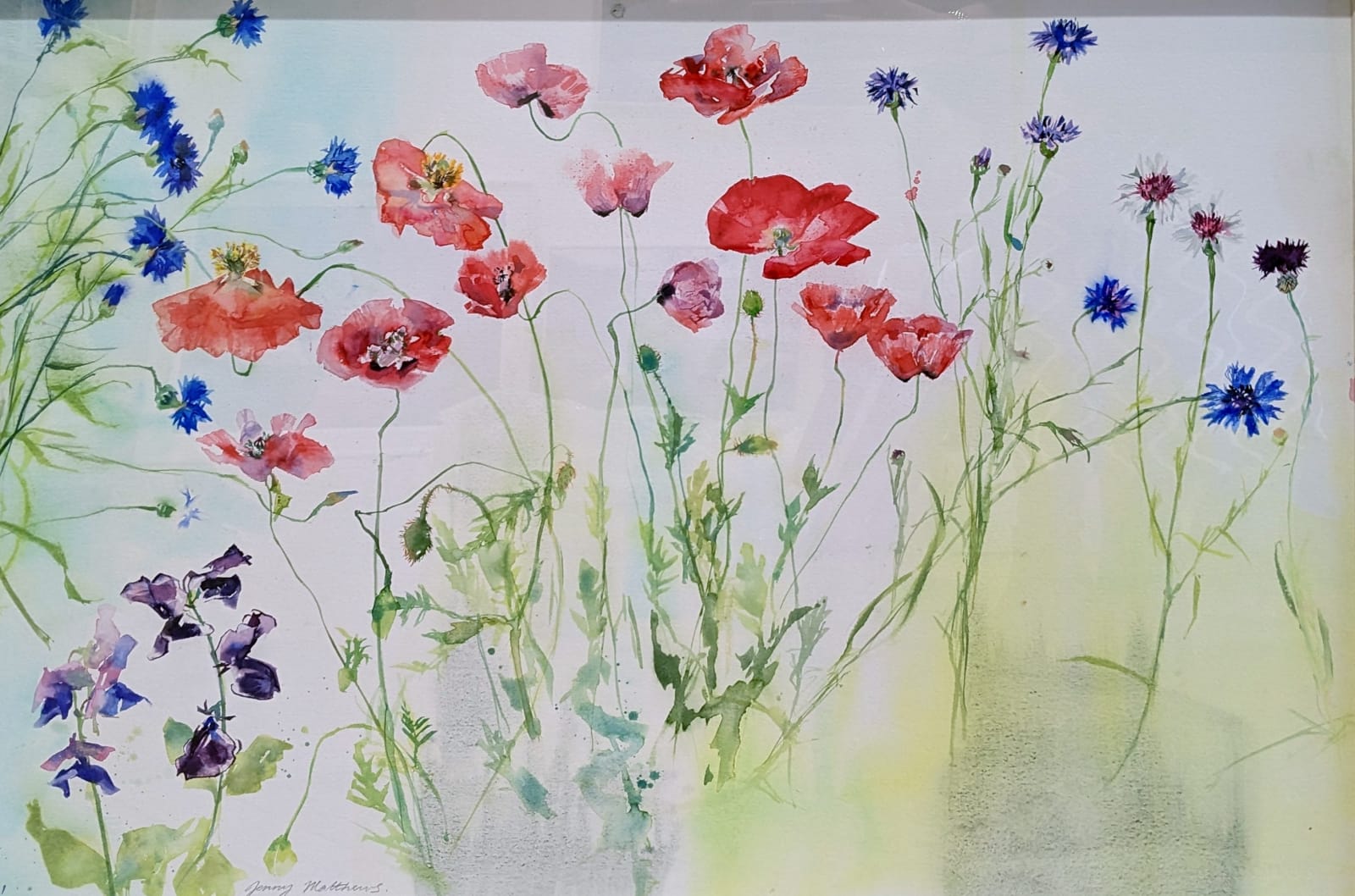 Jenny Matthews RSW, July with Poppies