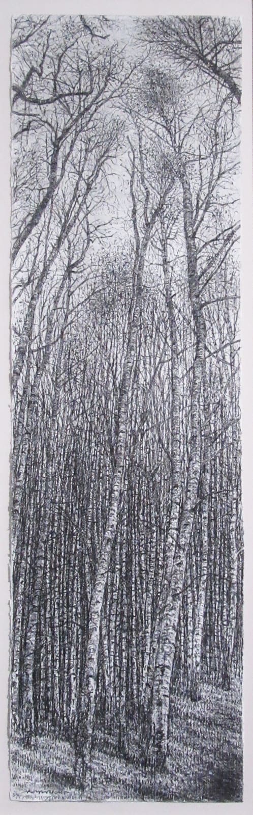 Roy Wright PS, At the Edge of the Birch Forest