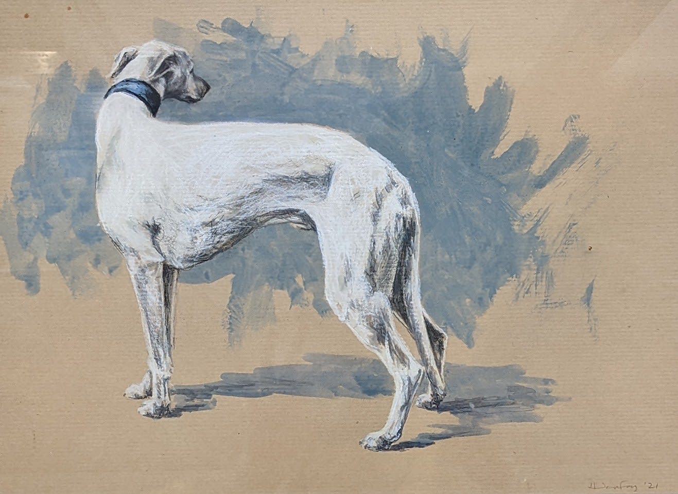 Helen Fay, Whippet