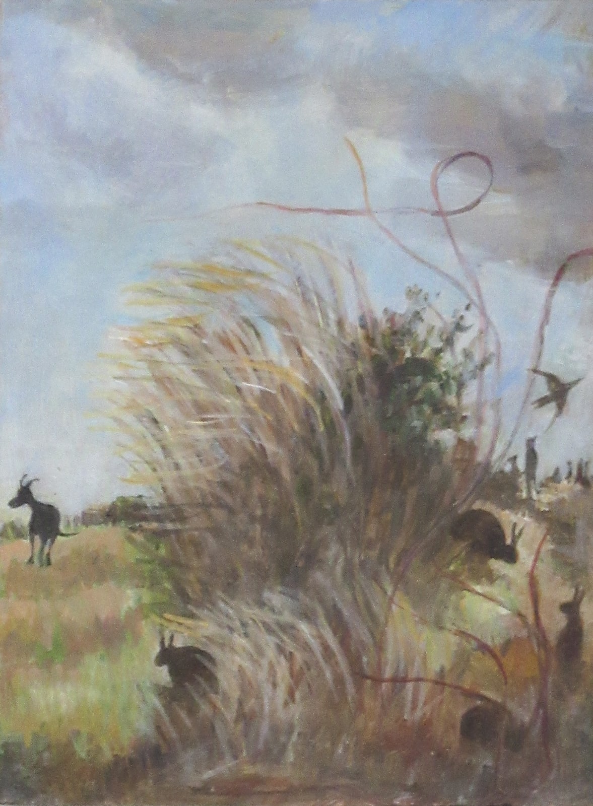 Tessa Newcomb, Dog and Rabbits