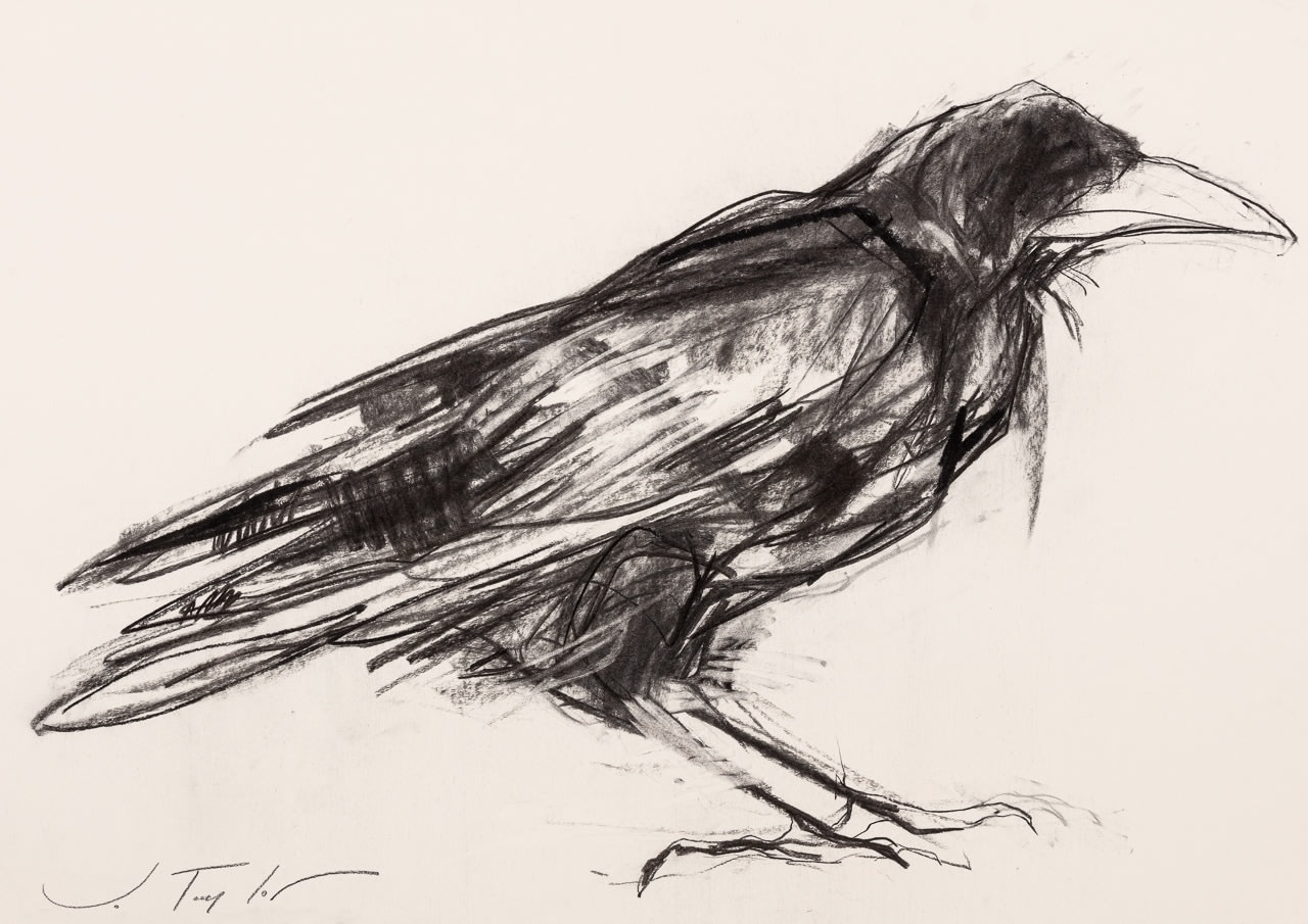 Jo Taylor, Crow
