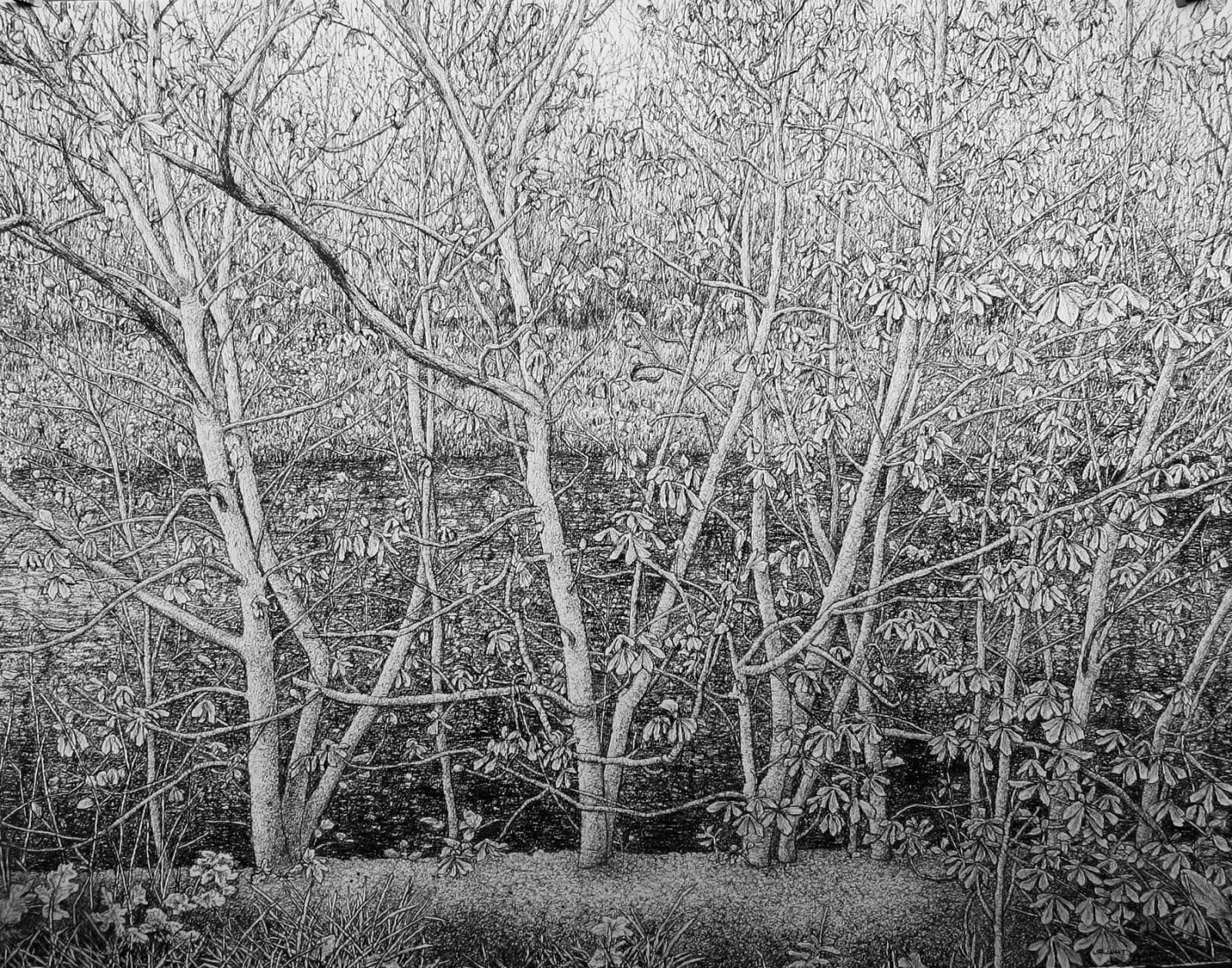 Roy Wright PS, Signs of Spring II