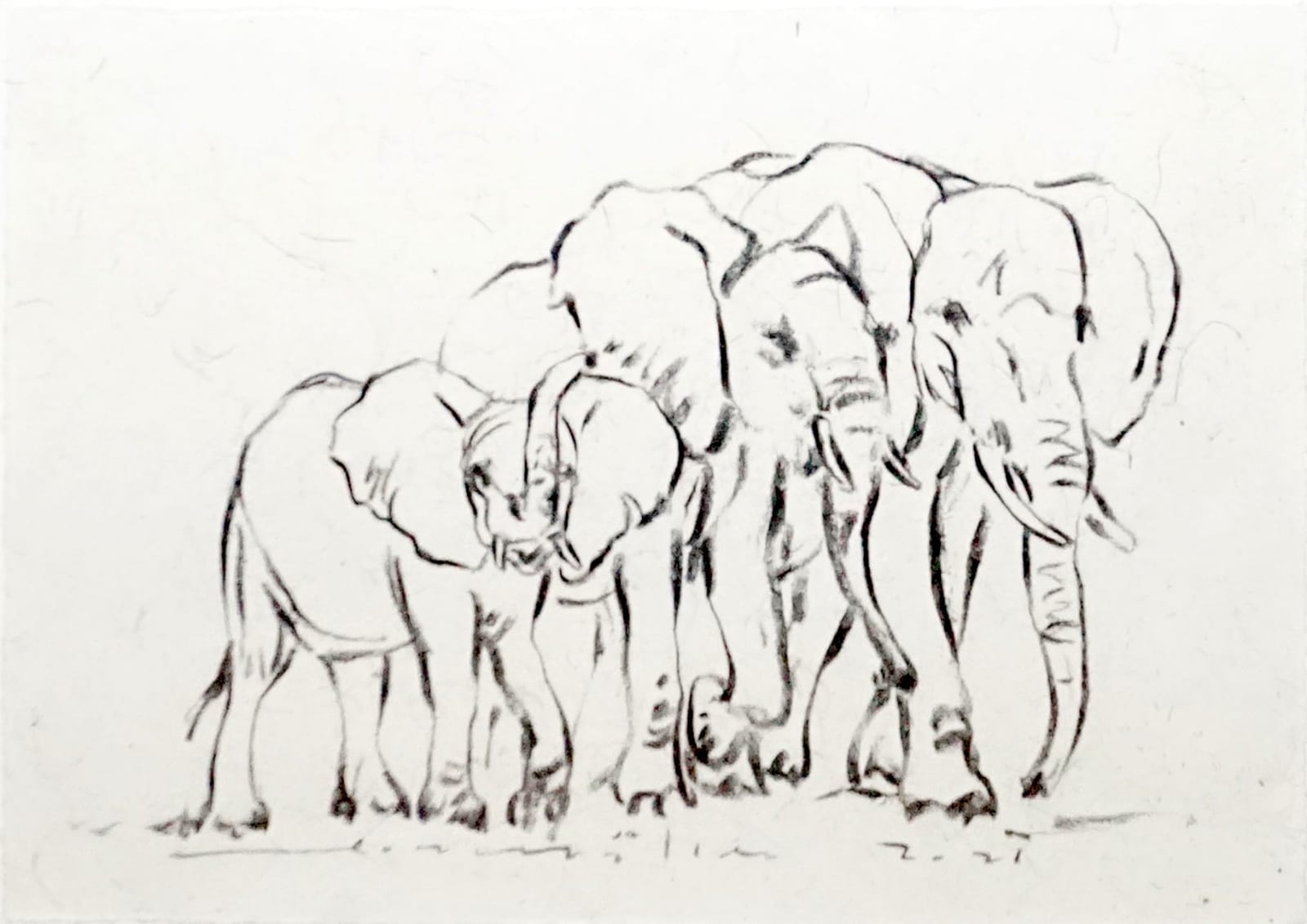 Leon Müller, Wandering Herd, 2021