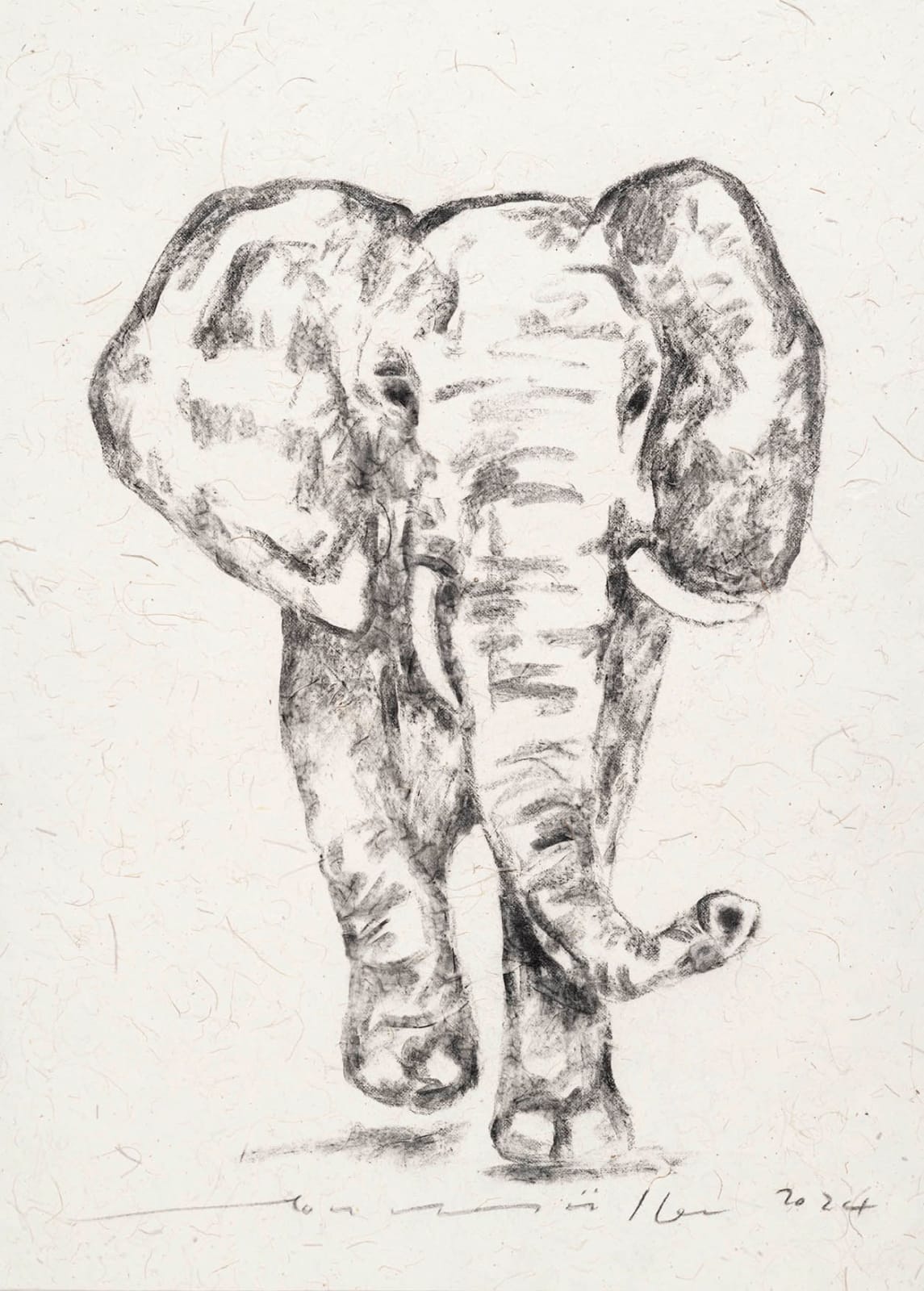 Leon Müller, Elephant II