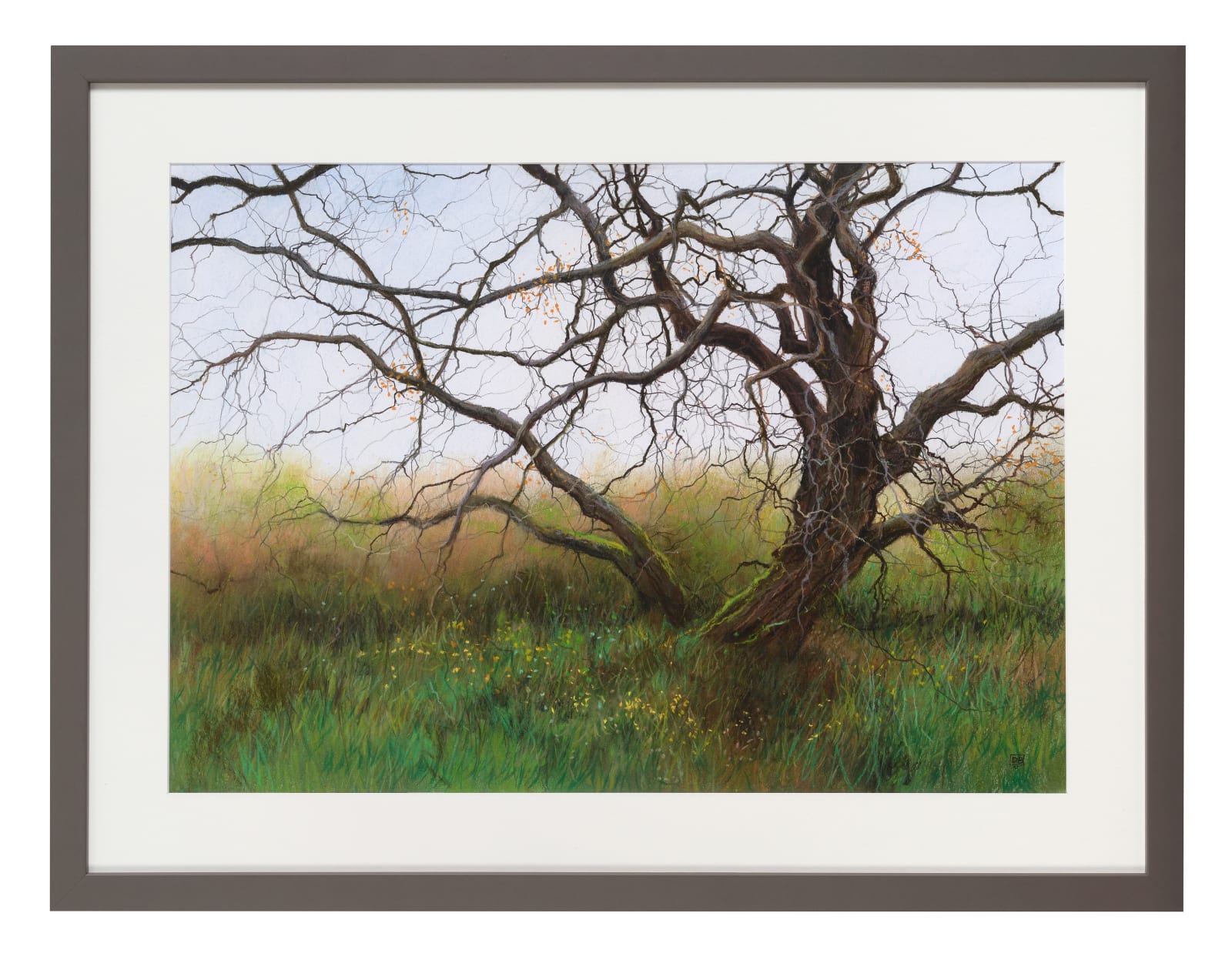 David Brammeld RBA PS RBSA SPDF MAFA, Up Tempo