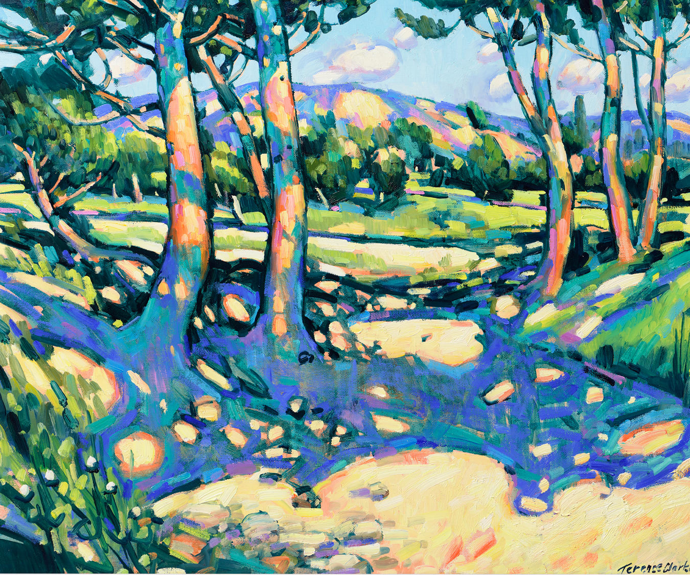 Terence Clarke, Blue Shade les Alpilles