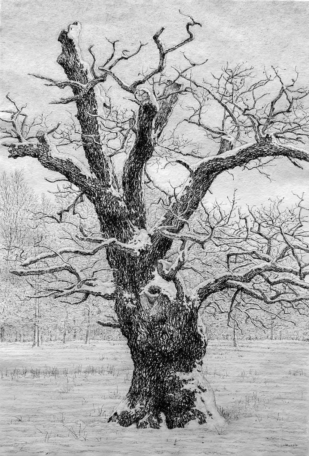 Roy Wright PS, The Snow Clings to the January Oak II, 2022