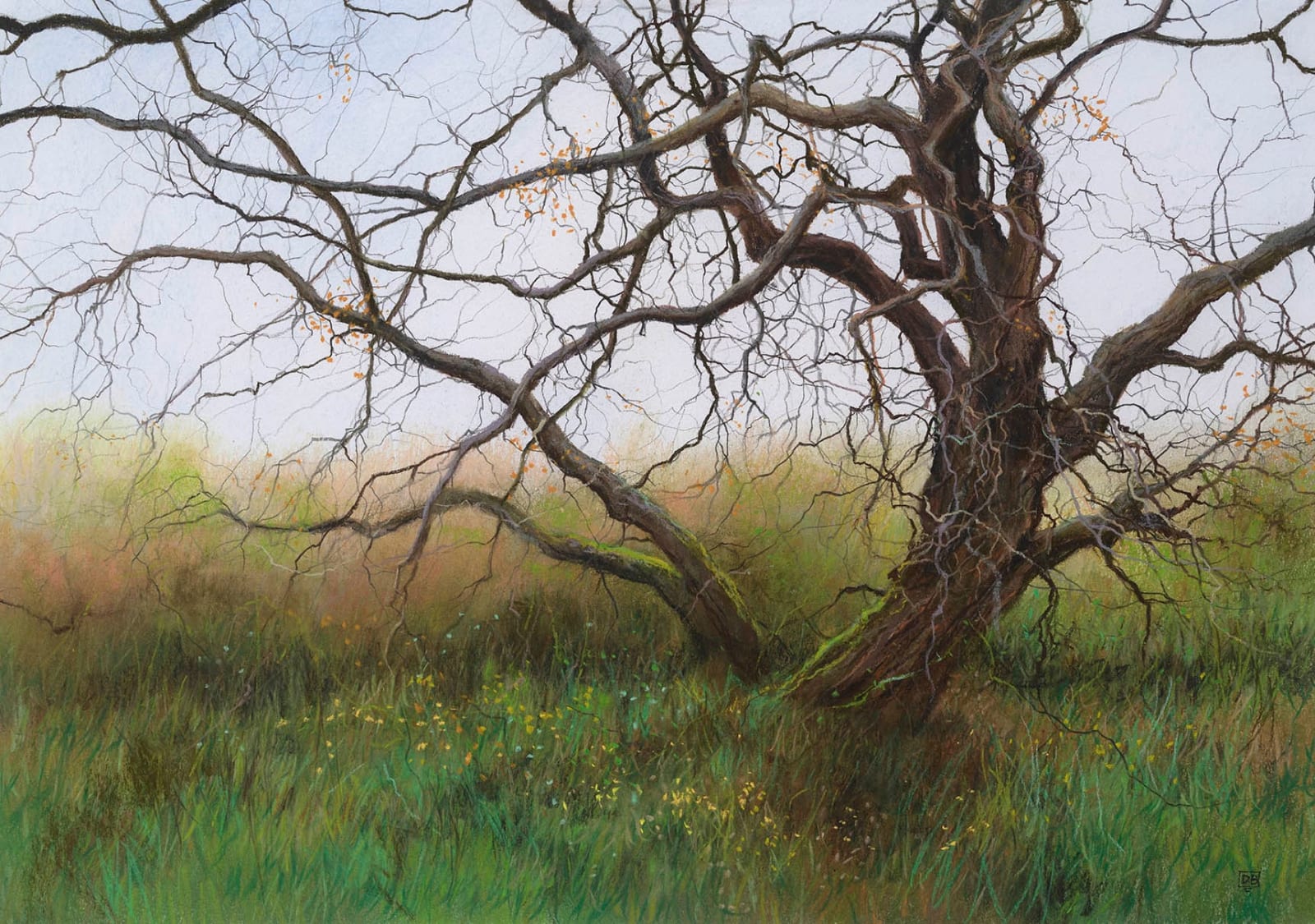 David Brammeld RBA PS RBSA SPDF MAFA, Up Tempo