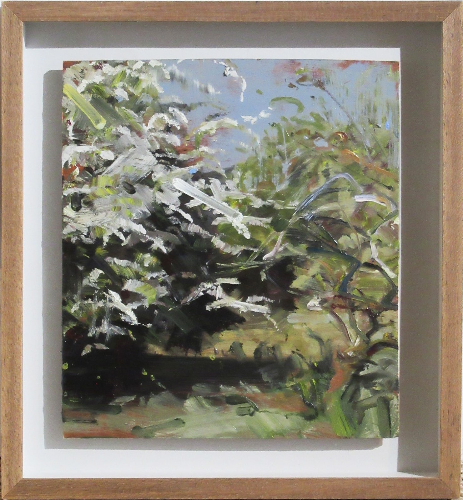 Kate Giles, Undercut, (Hawthorn and Apple, Edge of Orchard)