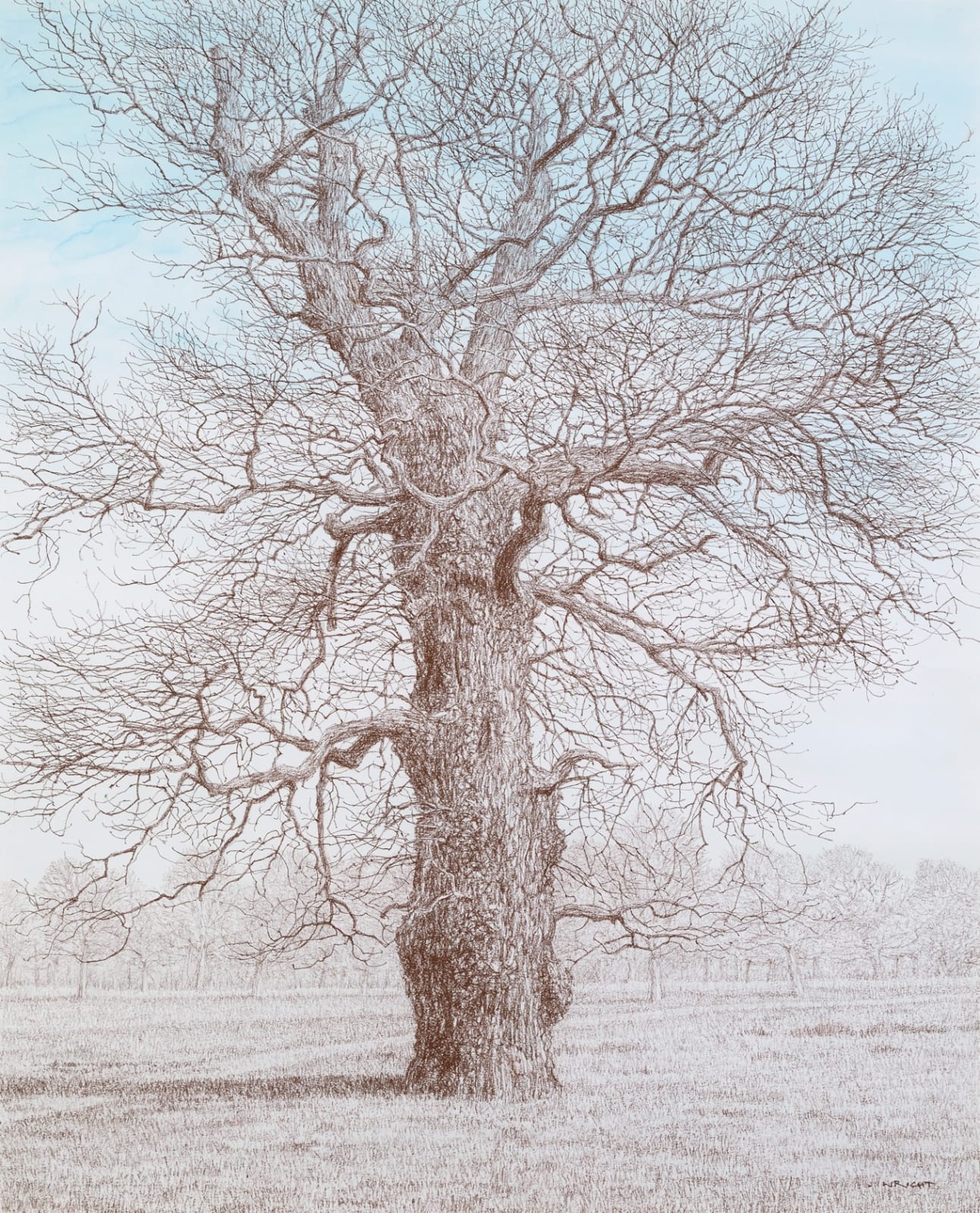 Roy Wright PS, November Sun II