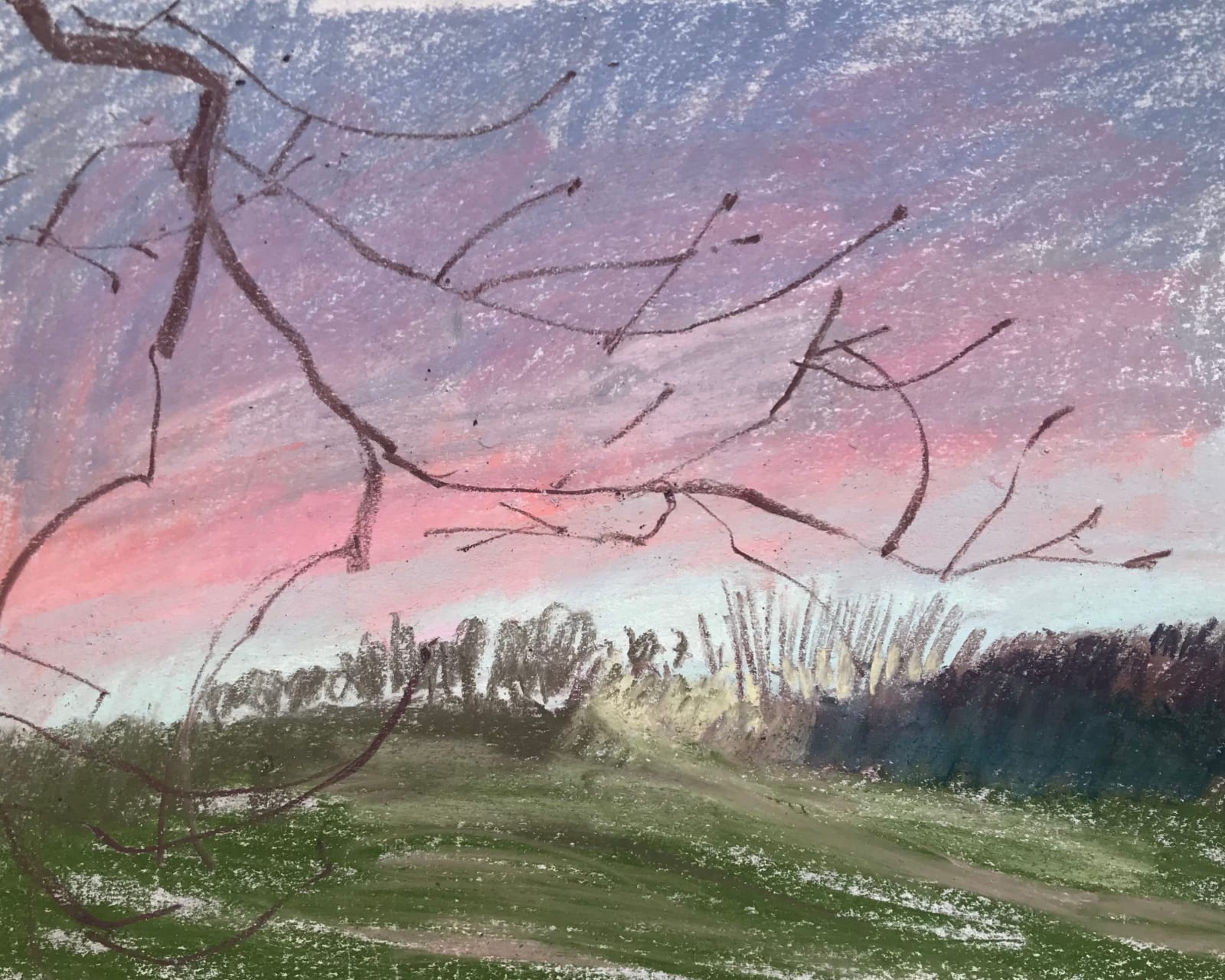 Kim Scouller, Evening Sunset Behind Trees