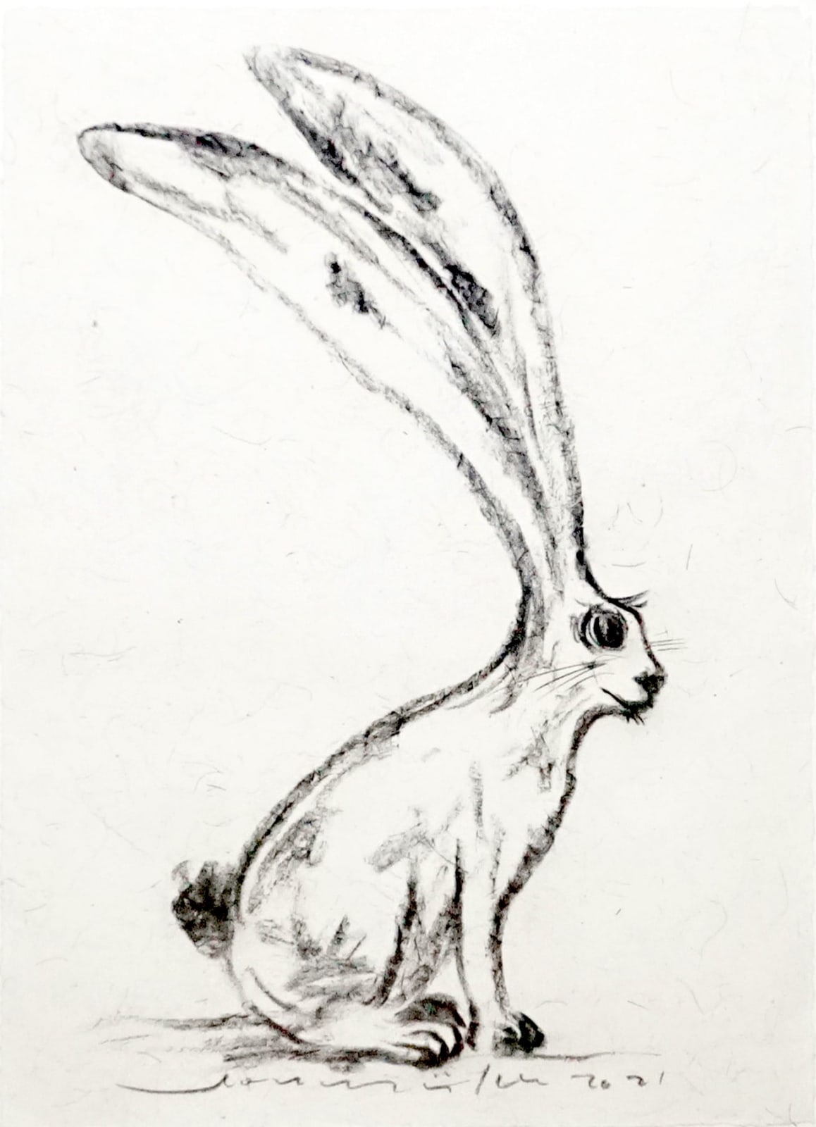 Leon Müller, Rabbit I, 2021