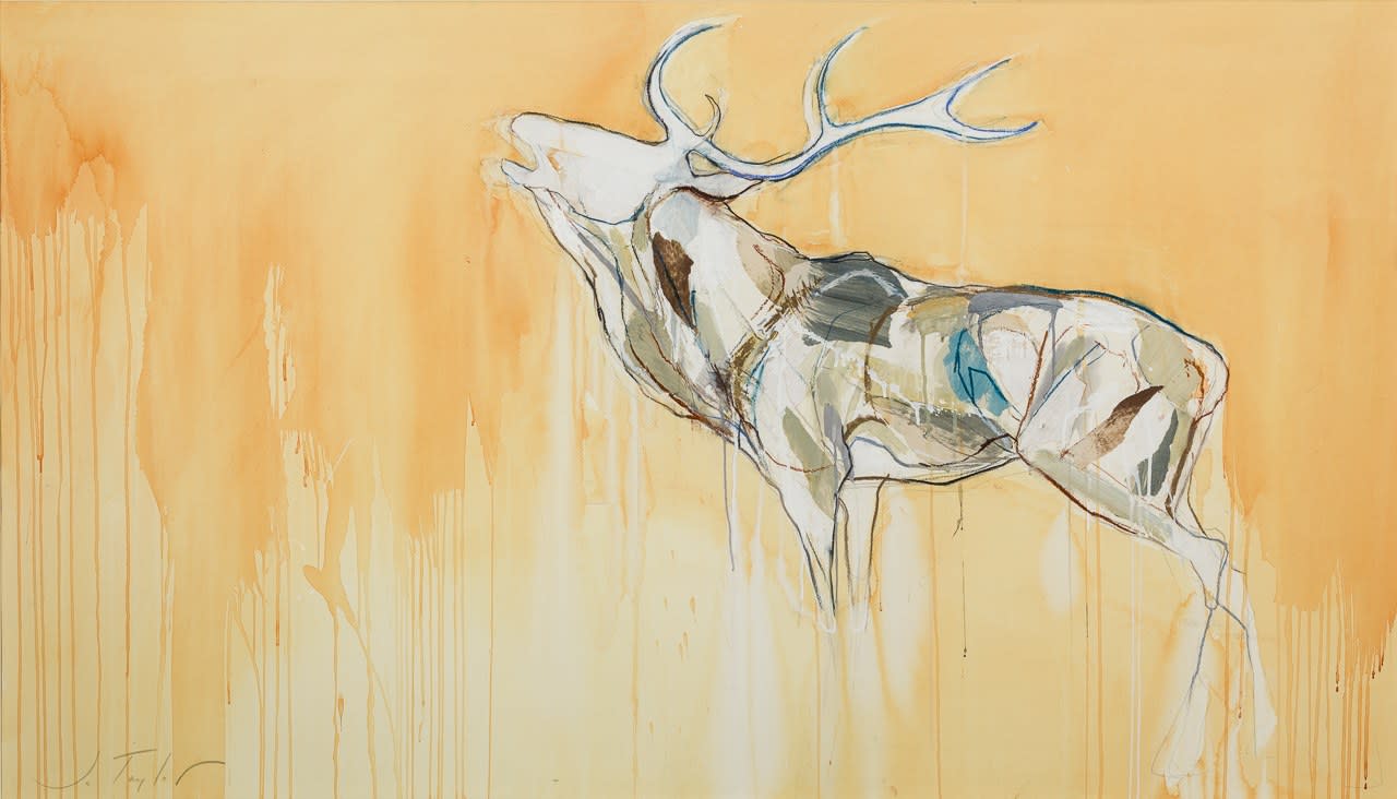 Jo Taylor, Call of the Wild