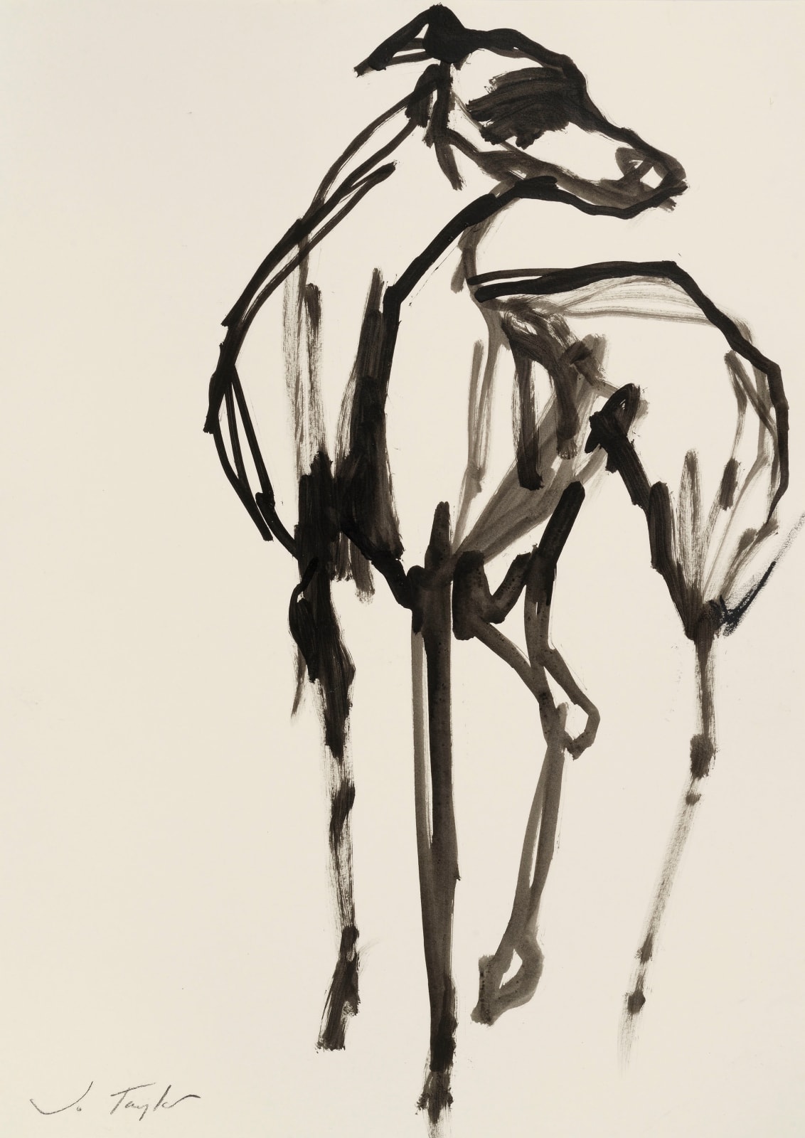 Jo Taylor, The Favourite II