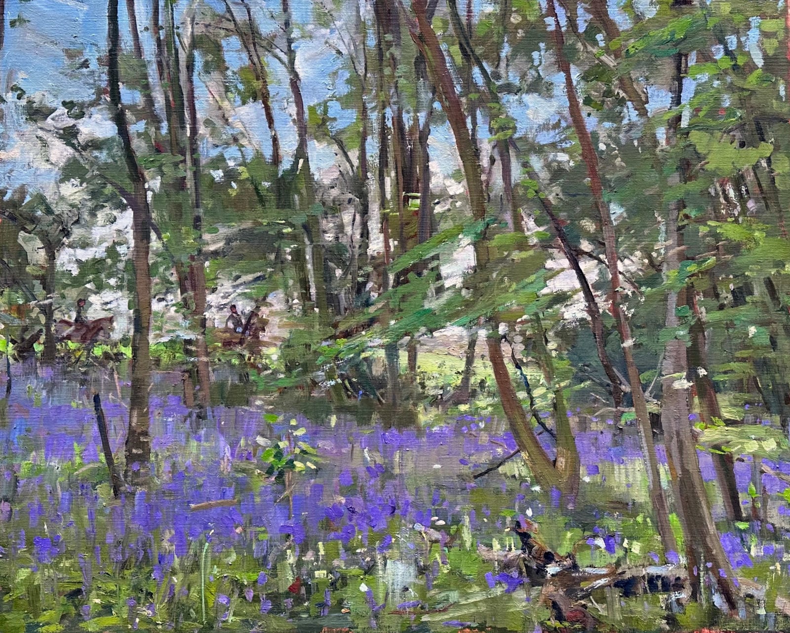 Nick Botting, The Bluebell Wood